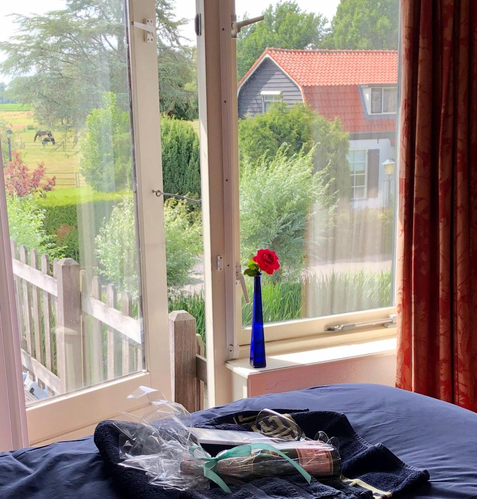 Art+bed and breakfast, photo 24