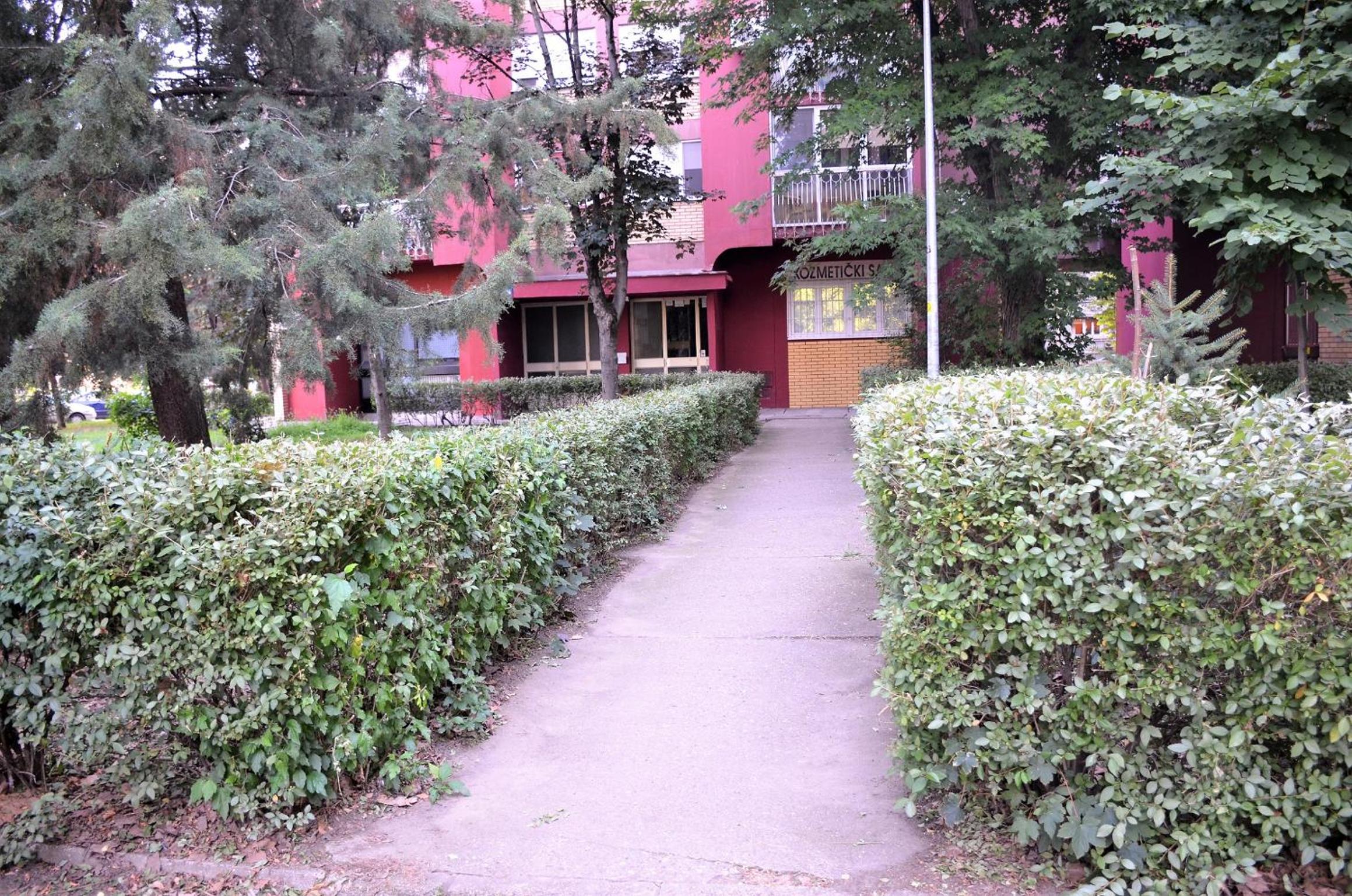 Photo 24
