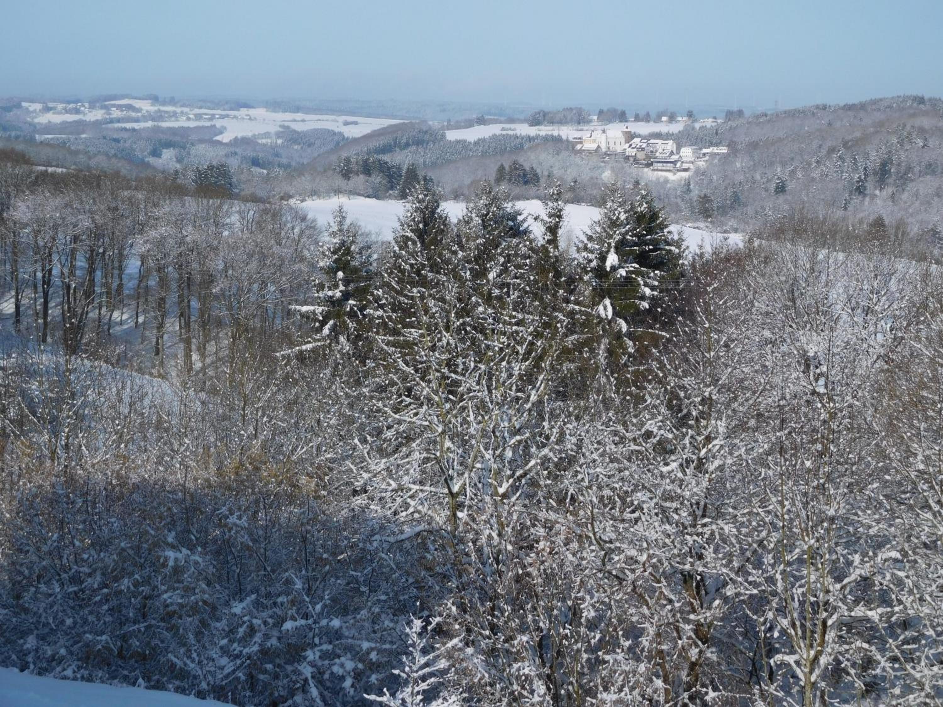 Photo 12