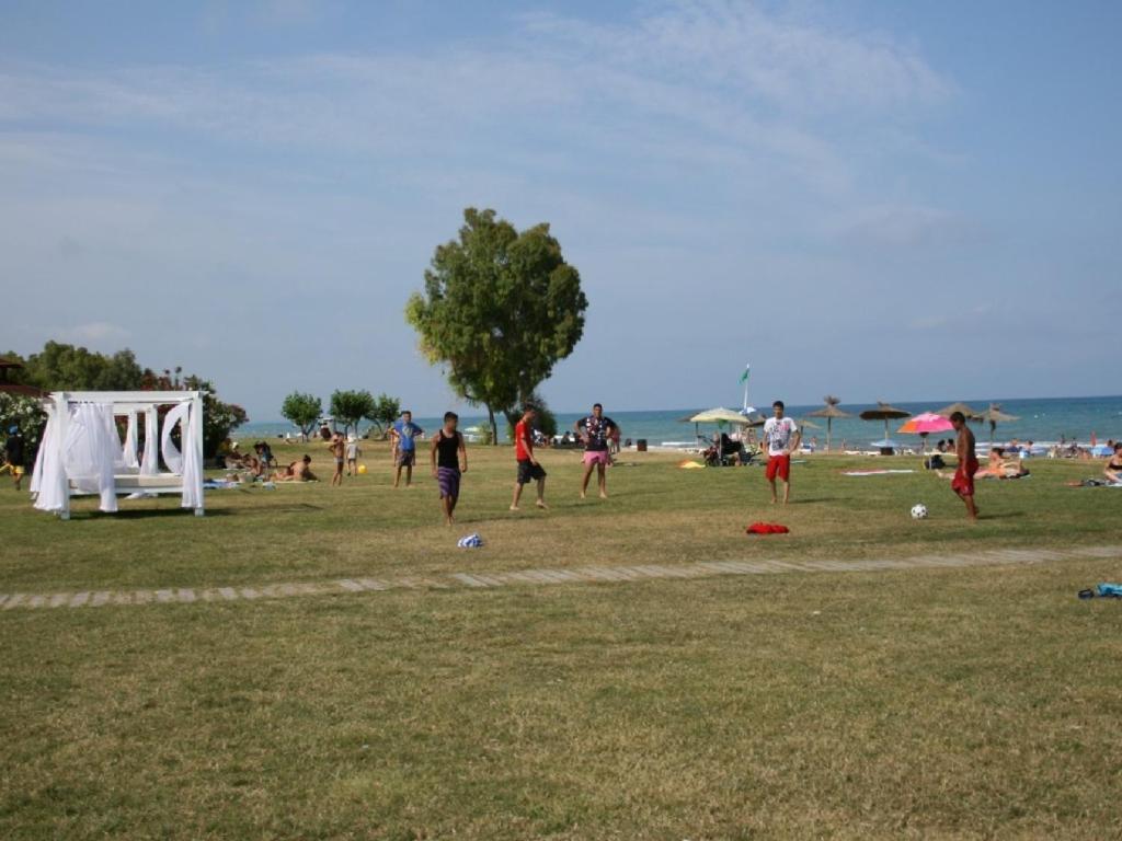 Photo 11