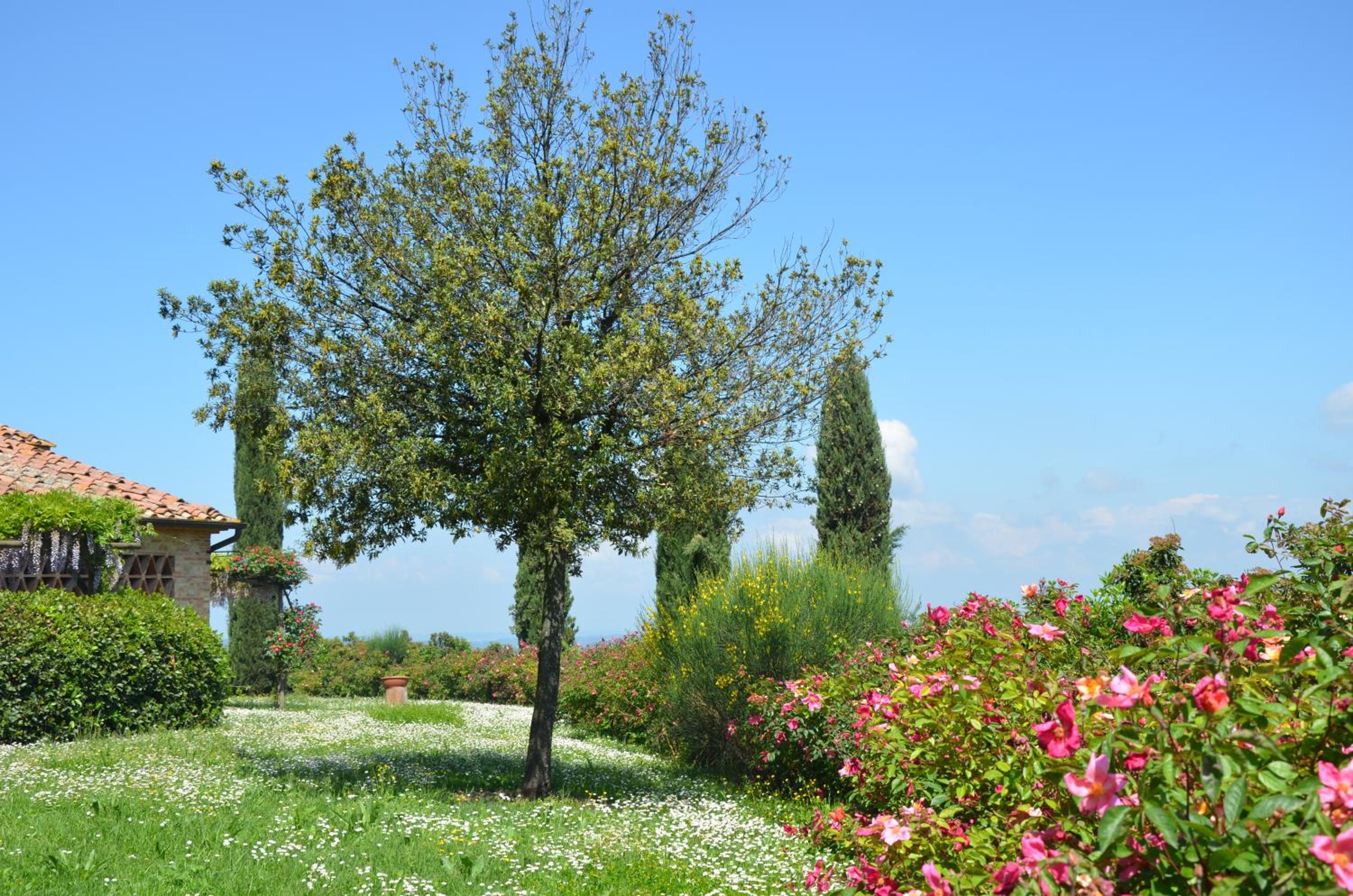 Agriturismo Rigone in Chianti