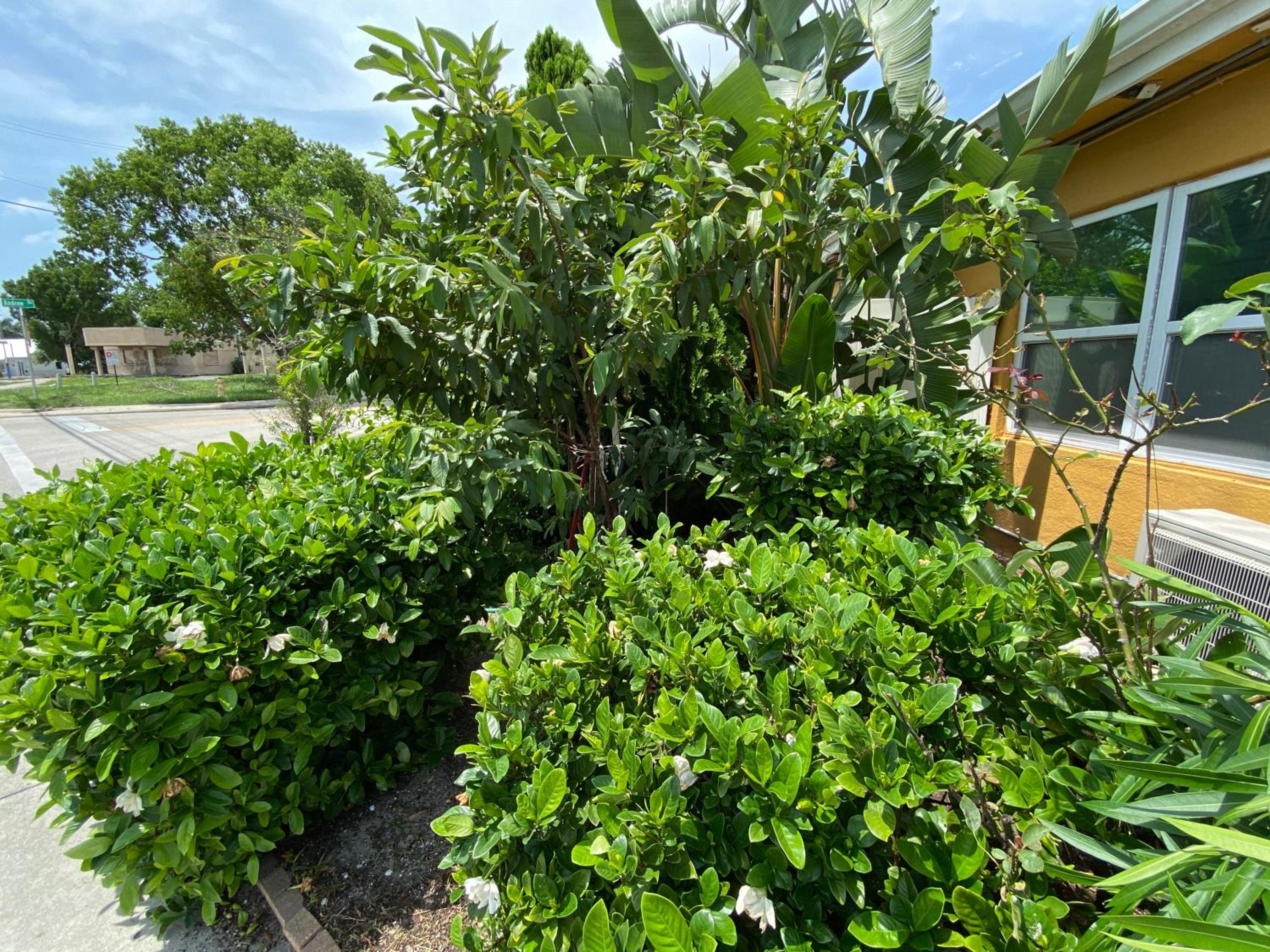 Glades Motel - Naples