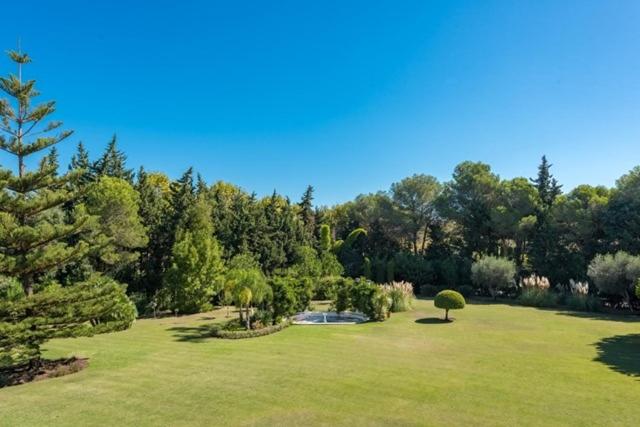 Peace & Tranquility, Sotogrande, Spain view 4
