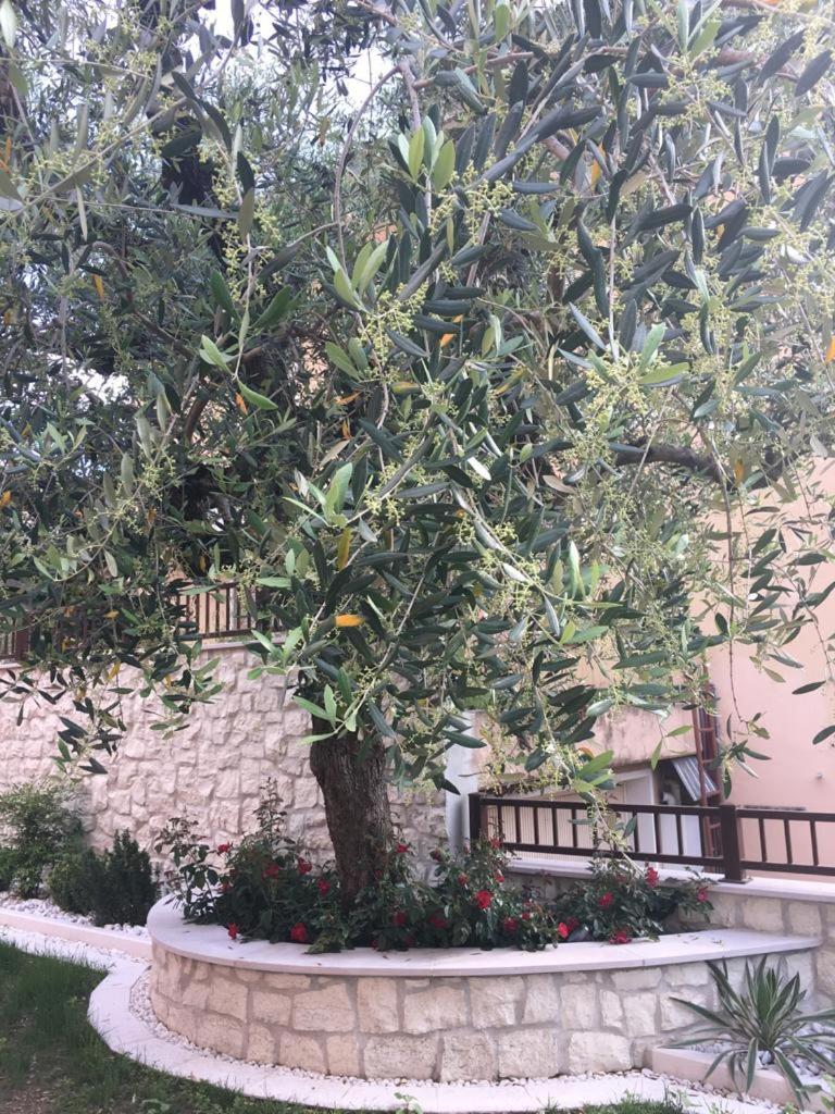 Photo 6