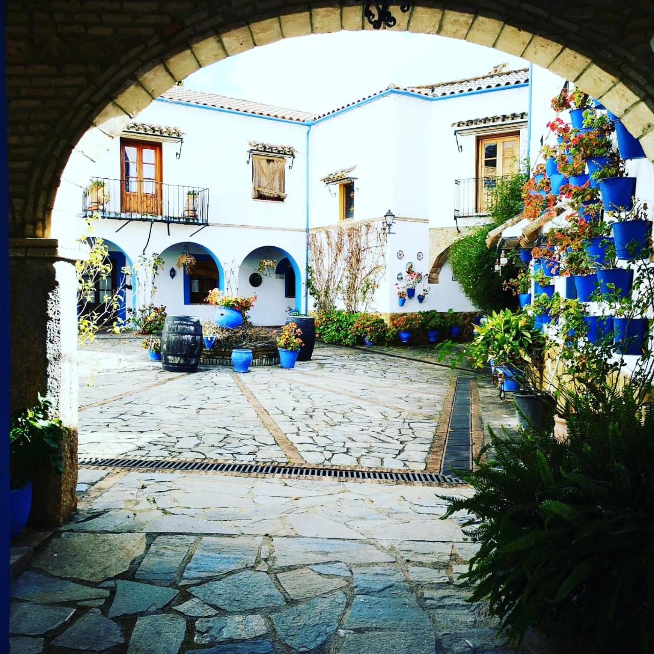 Photo 18