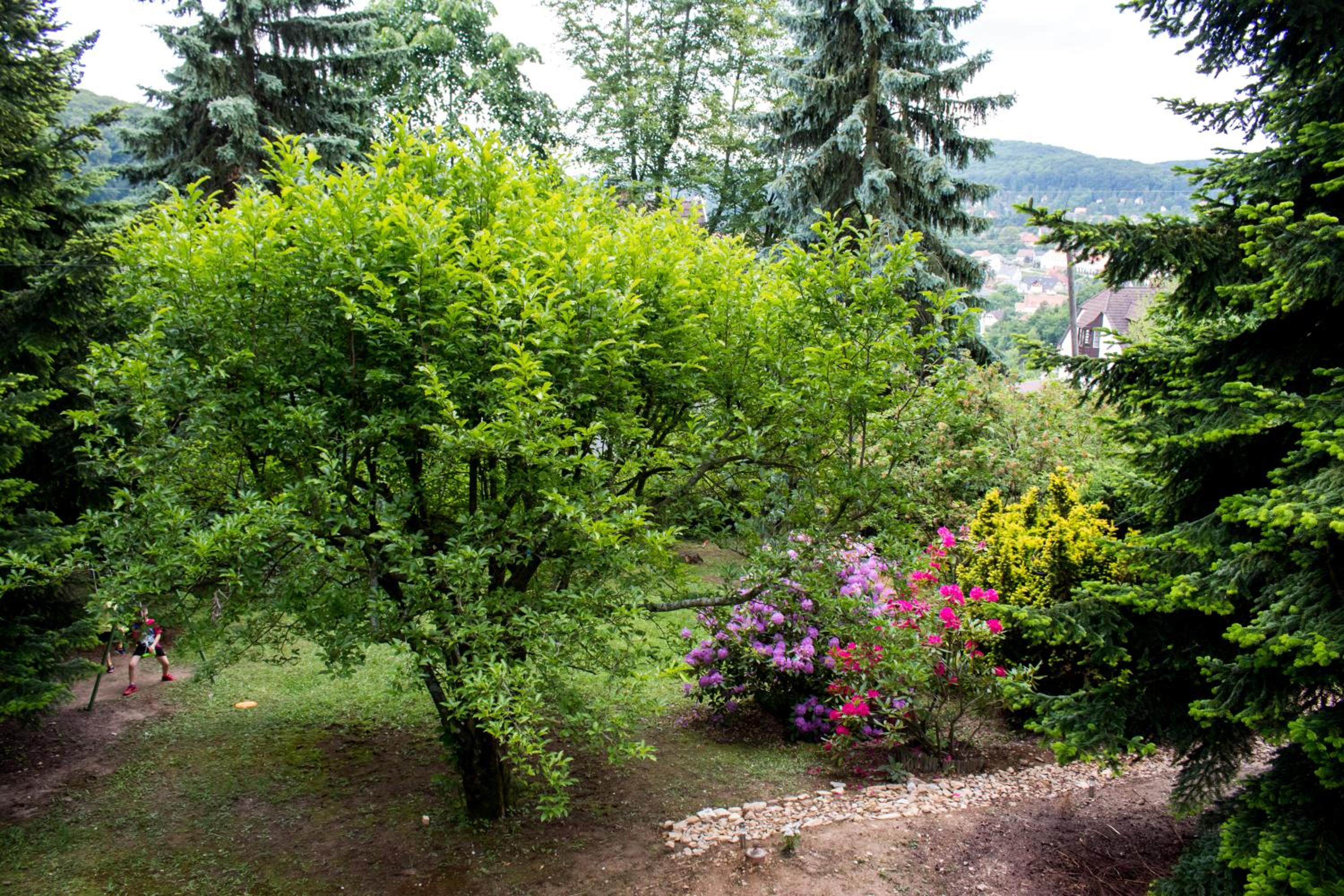 Photo 41