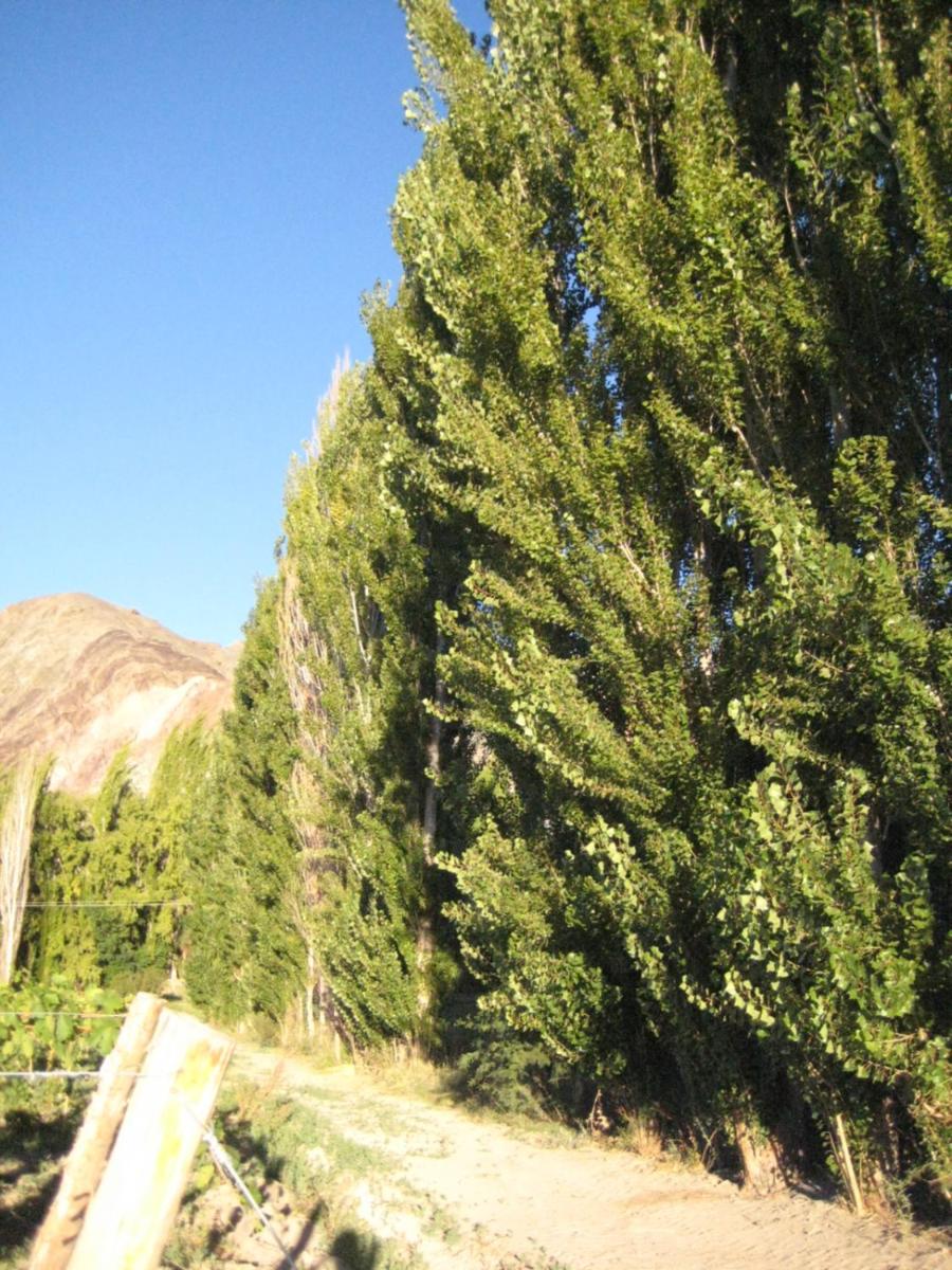 FINCA TIERRA CALMA Casa 2