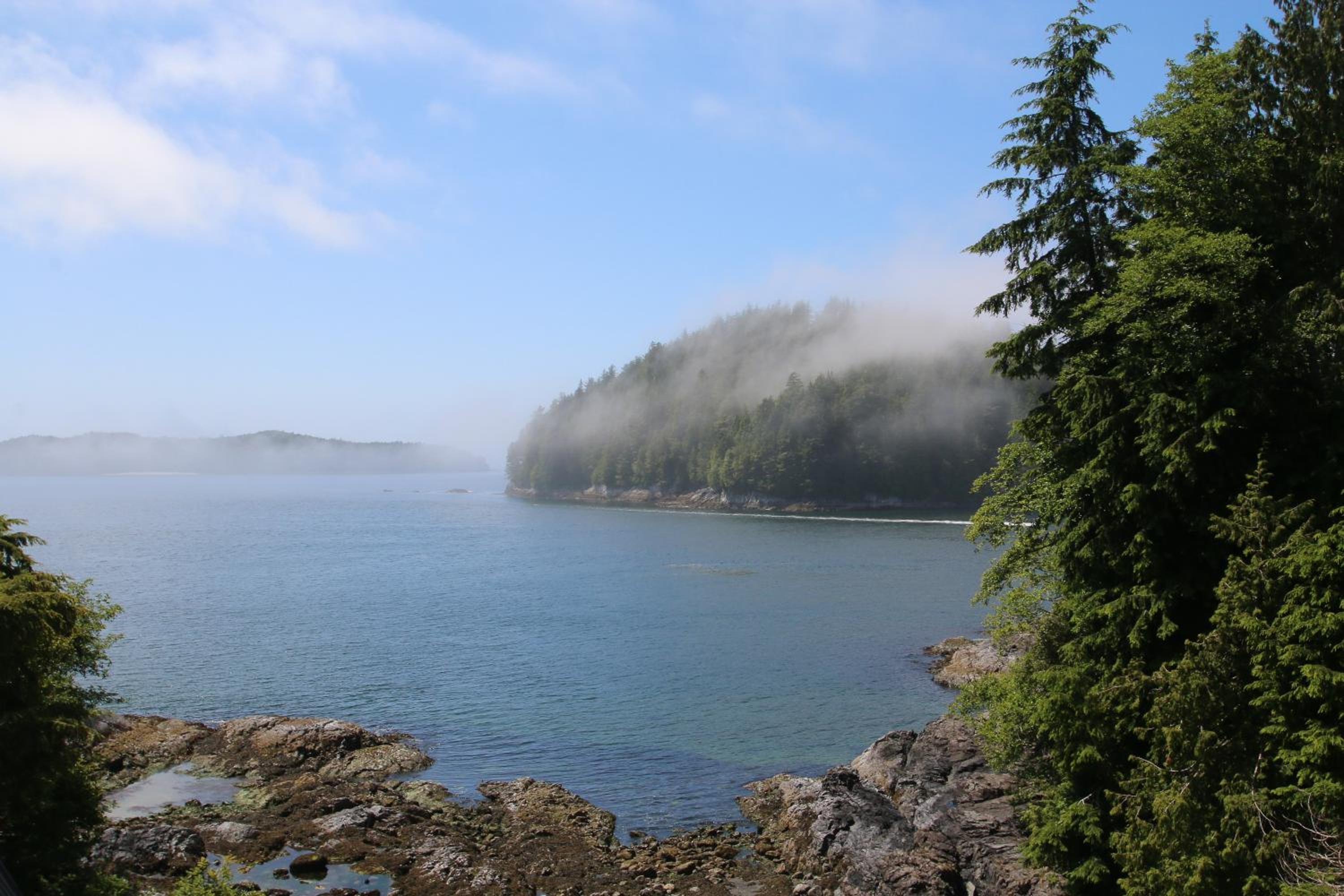 Duffin Cove Resort