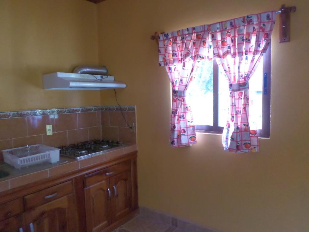 Cabañas San Miguel Tenango, photo 30