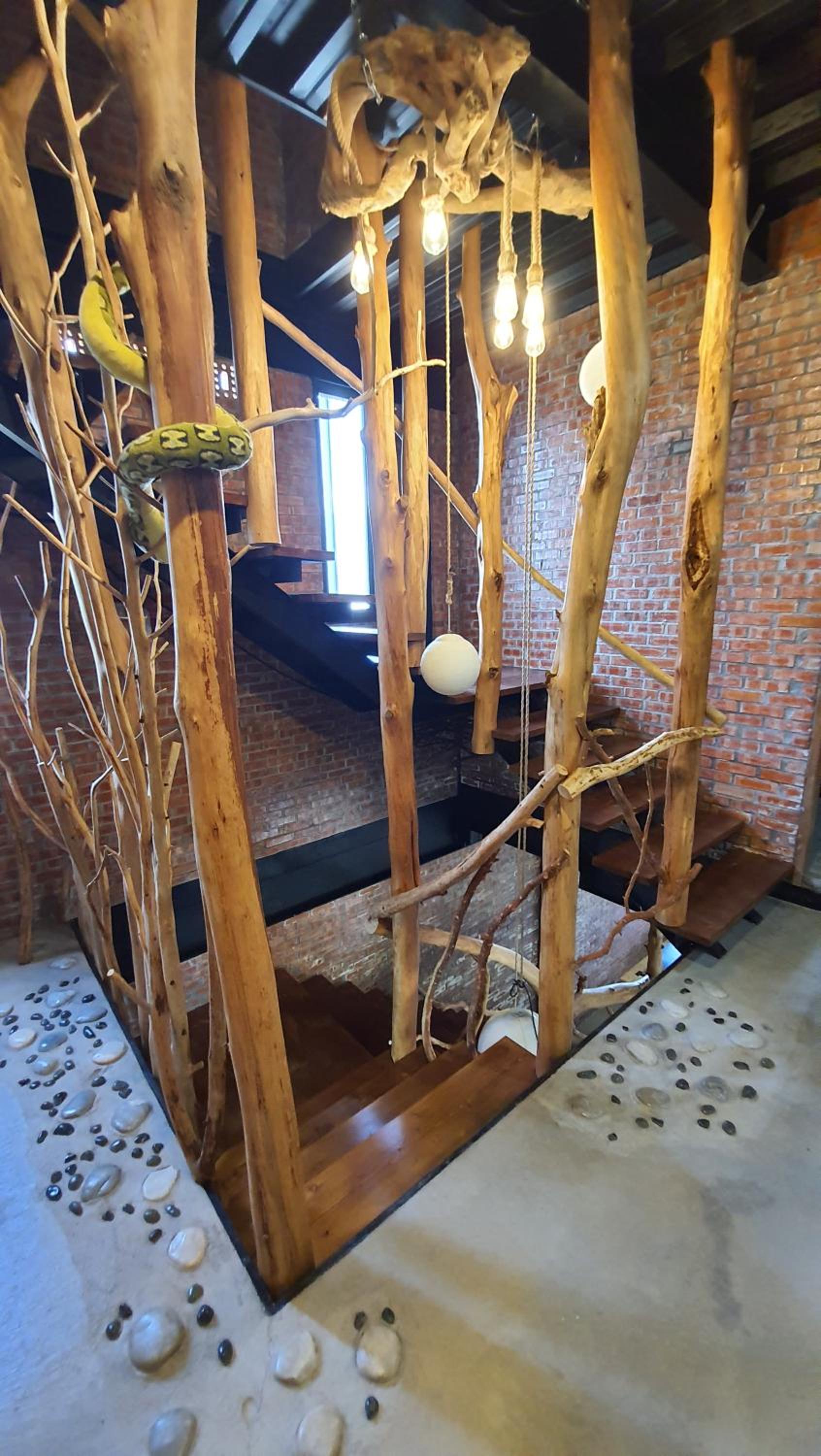Photo 26