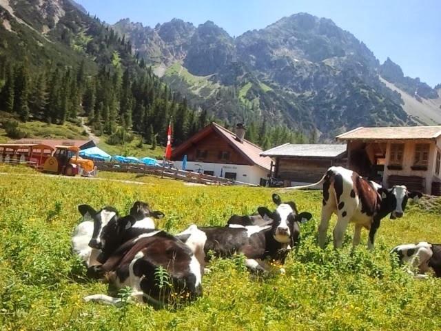Apartment in Seefeld in Tirol