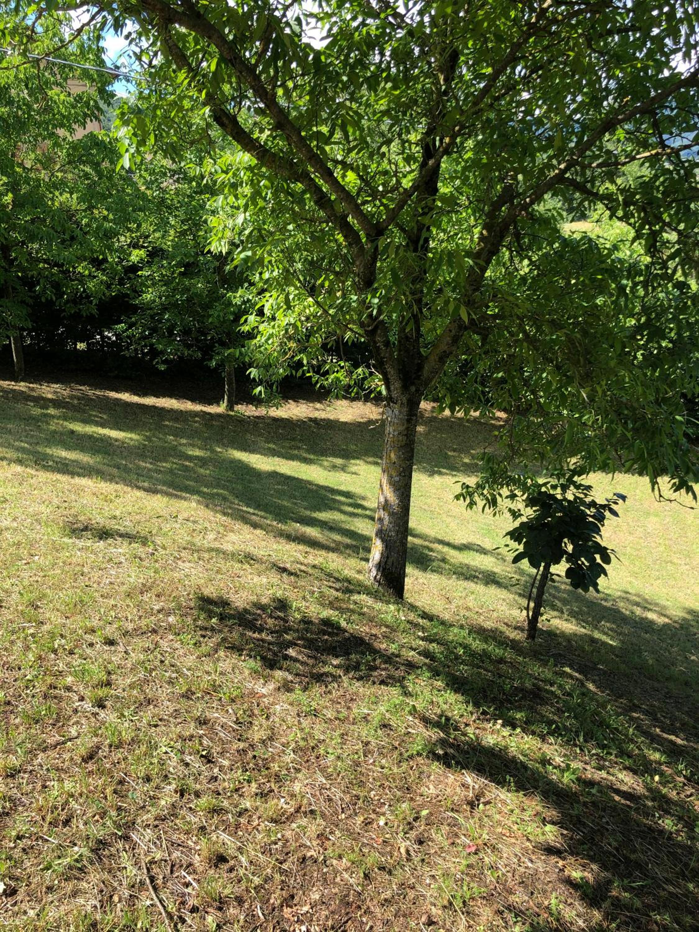 Capannina Vesale photo 3