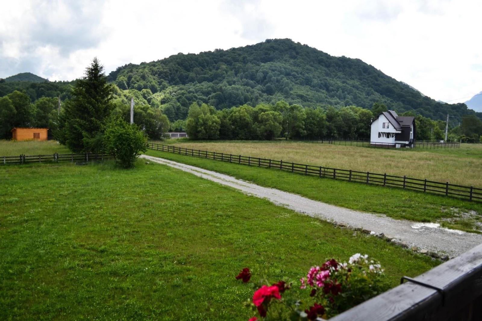 Pensiunea Bergtal