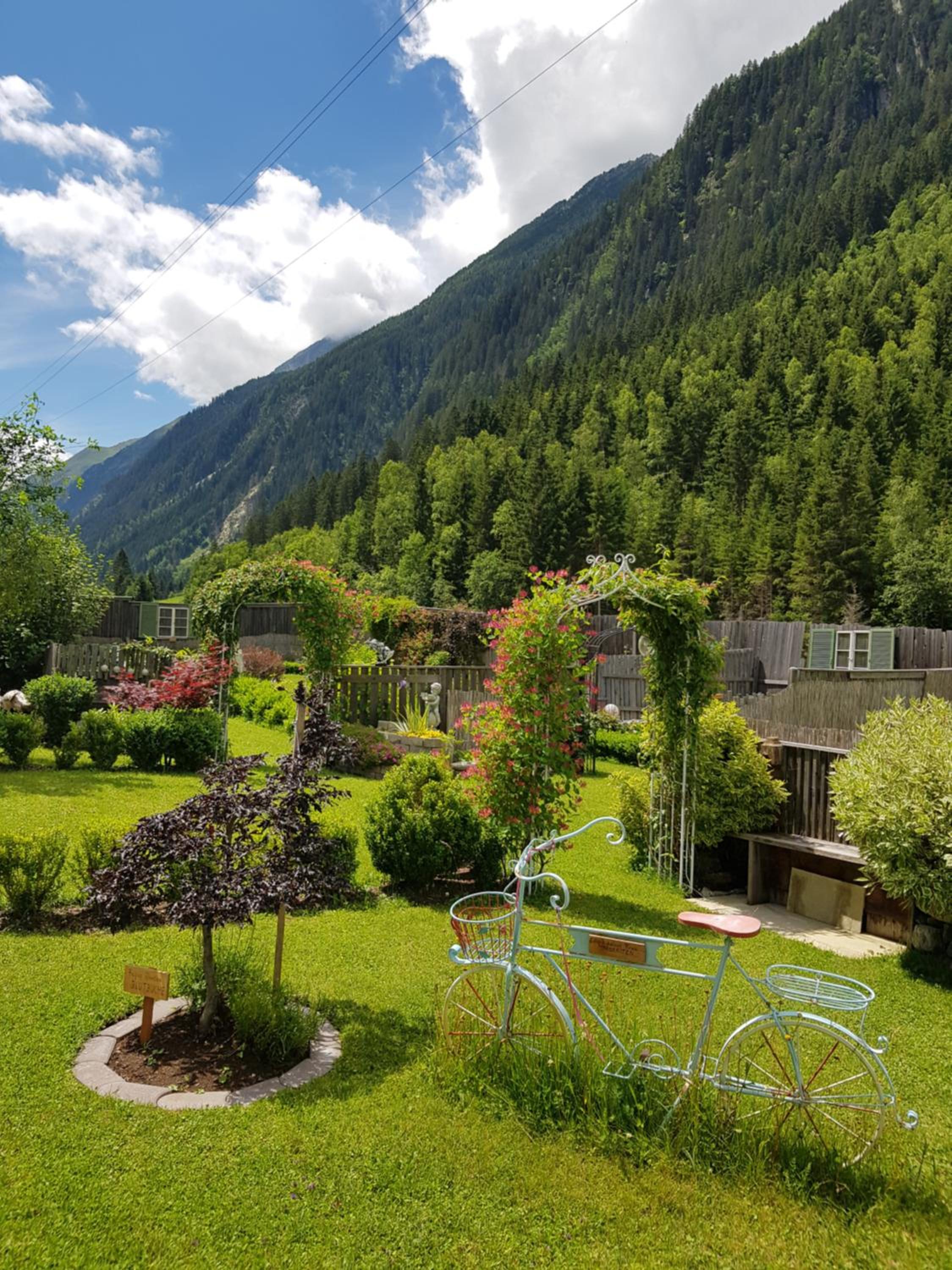 Photo 62