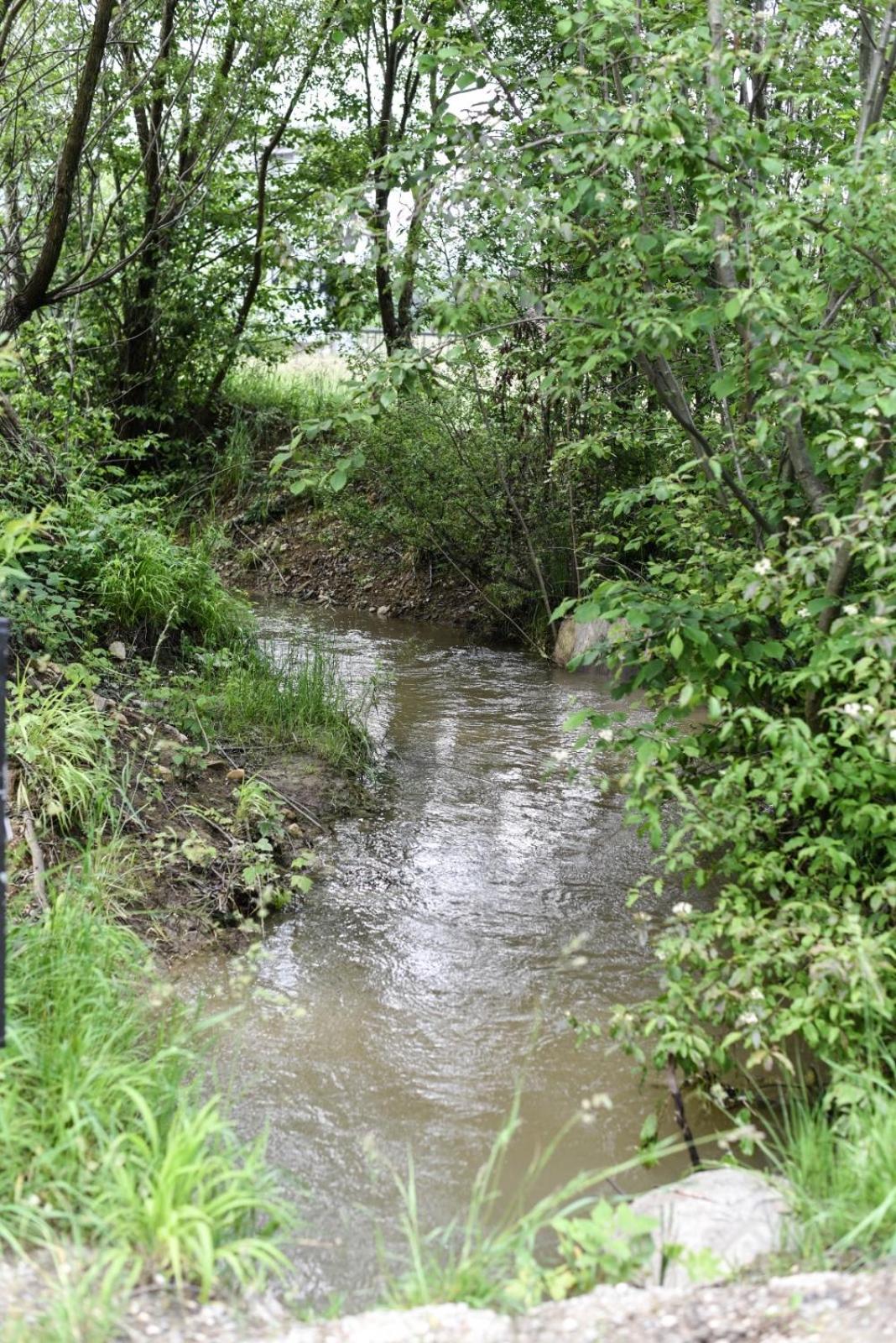 Pensiunea Bergtal
