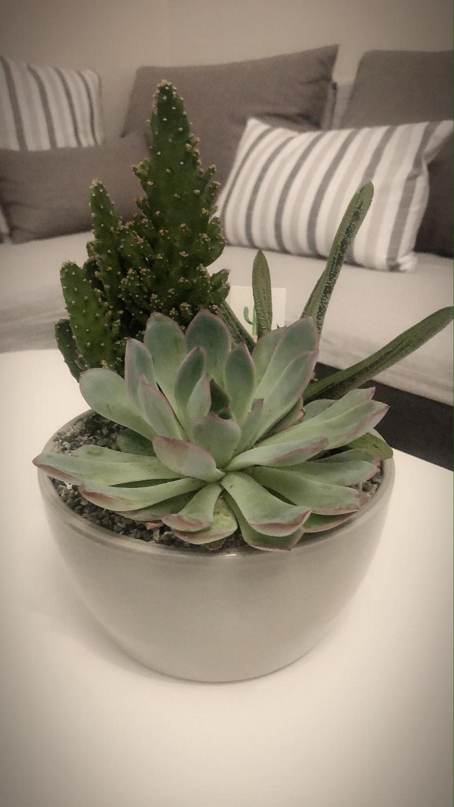 other