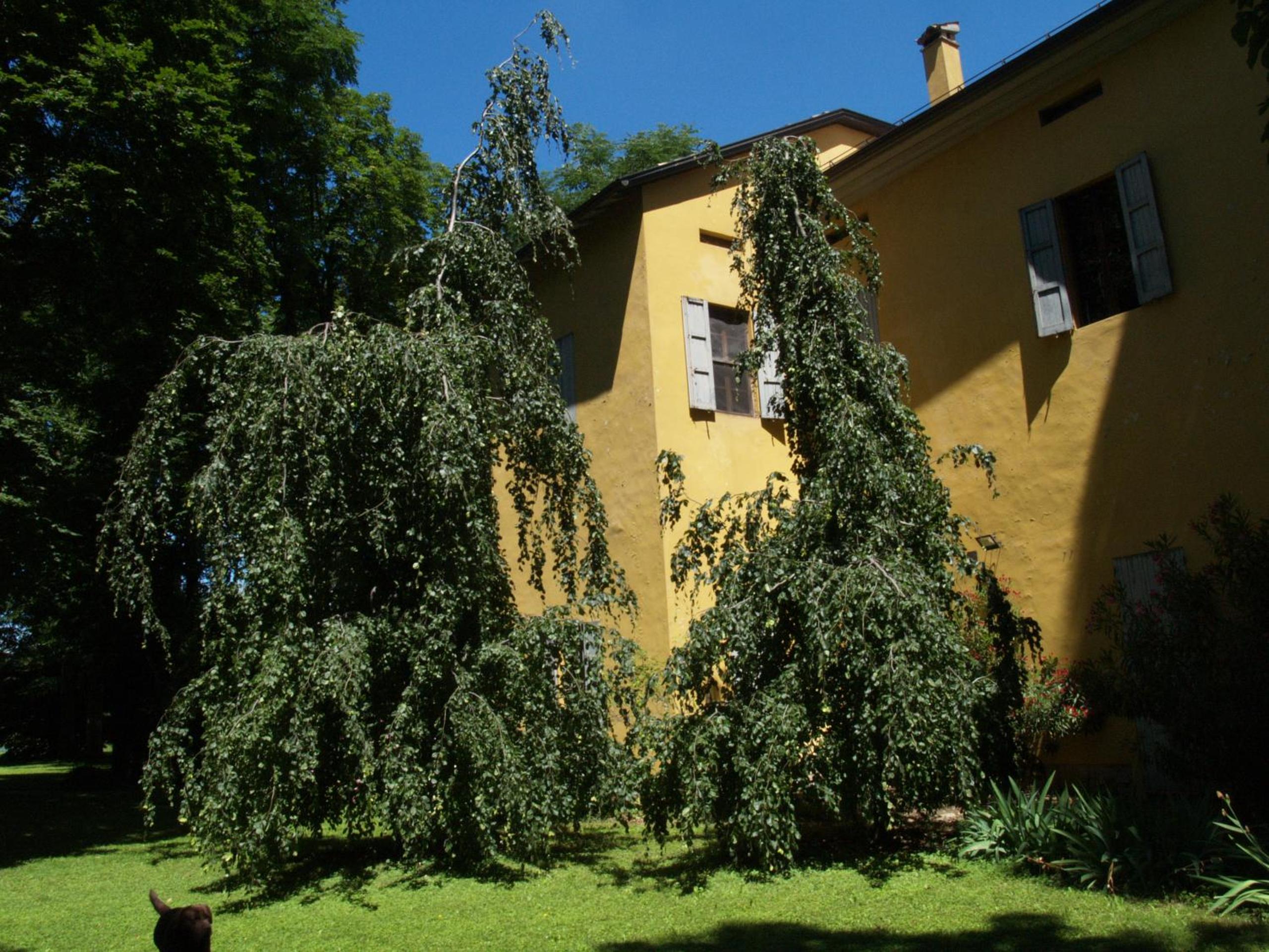 Photo 9