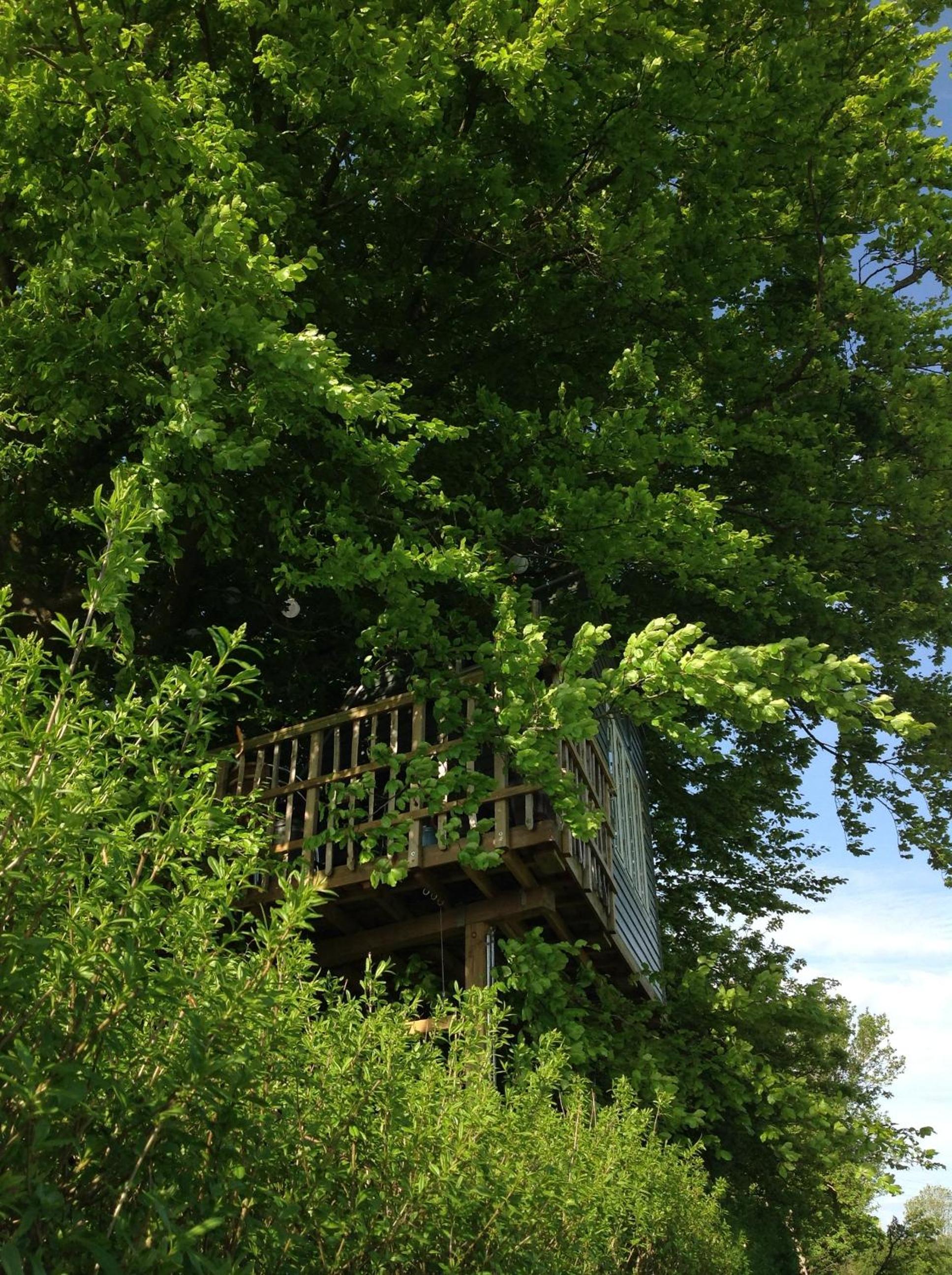 Treehouse escape