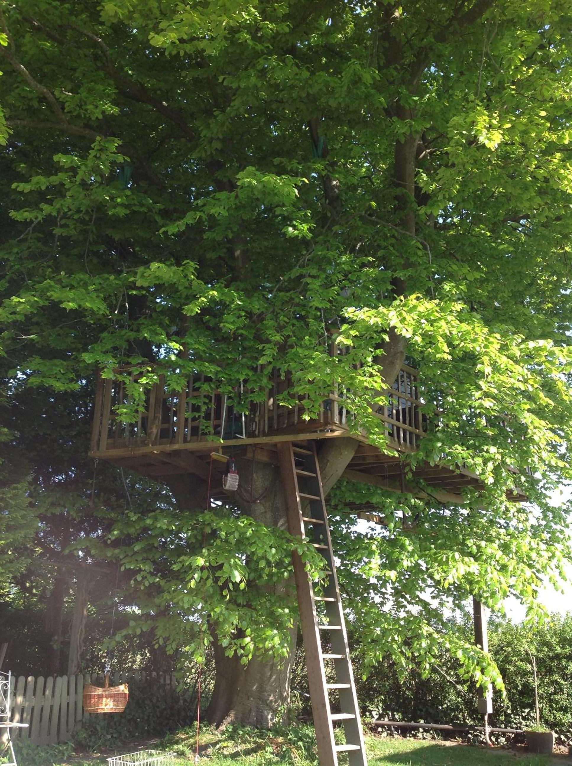 Treehouse escape