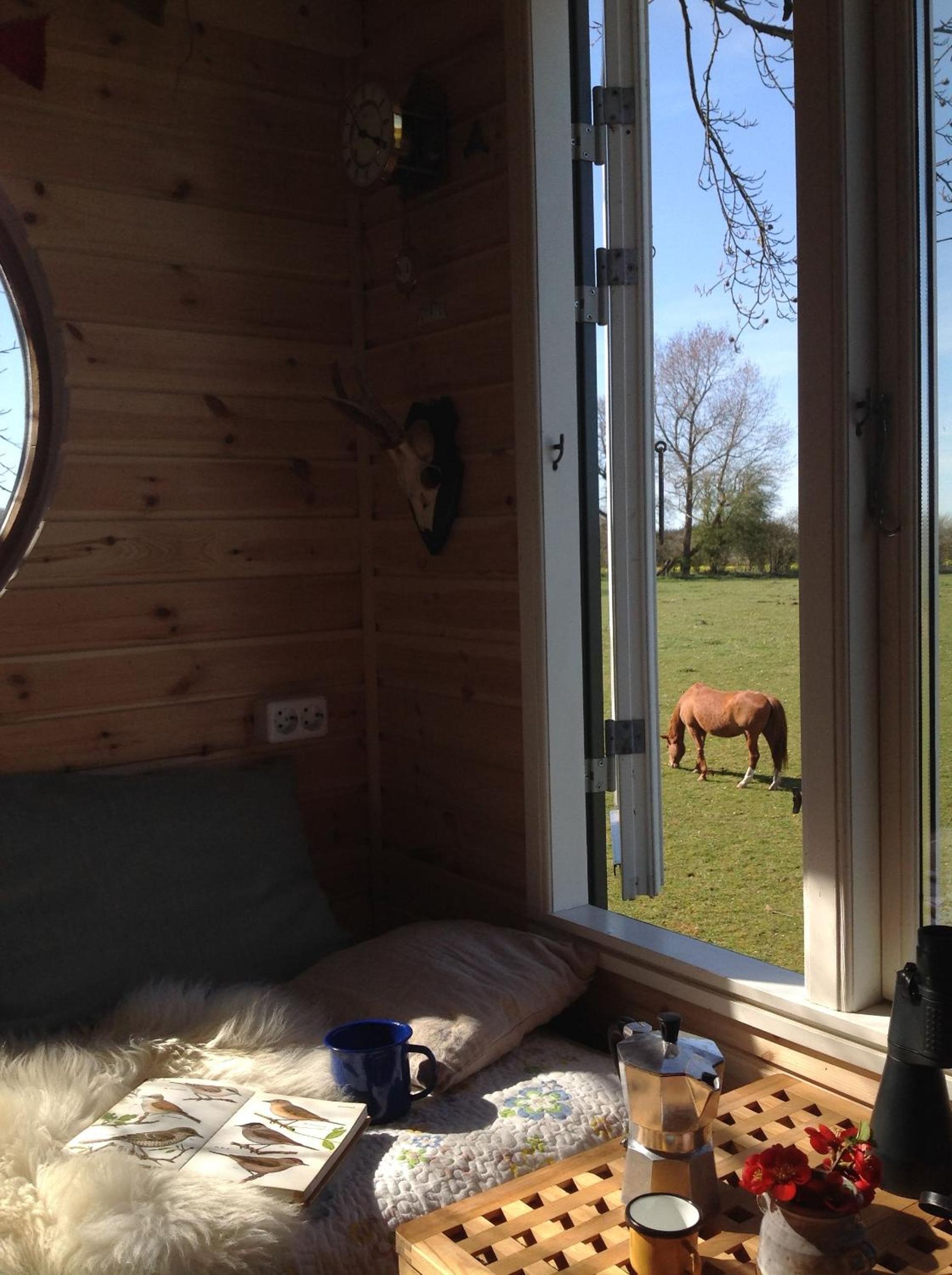 Treehouse escape