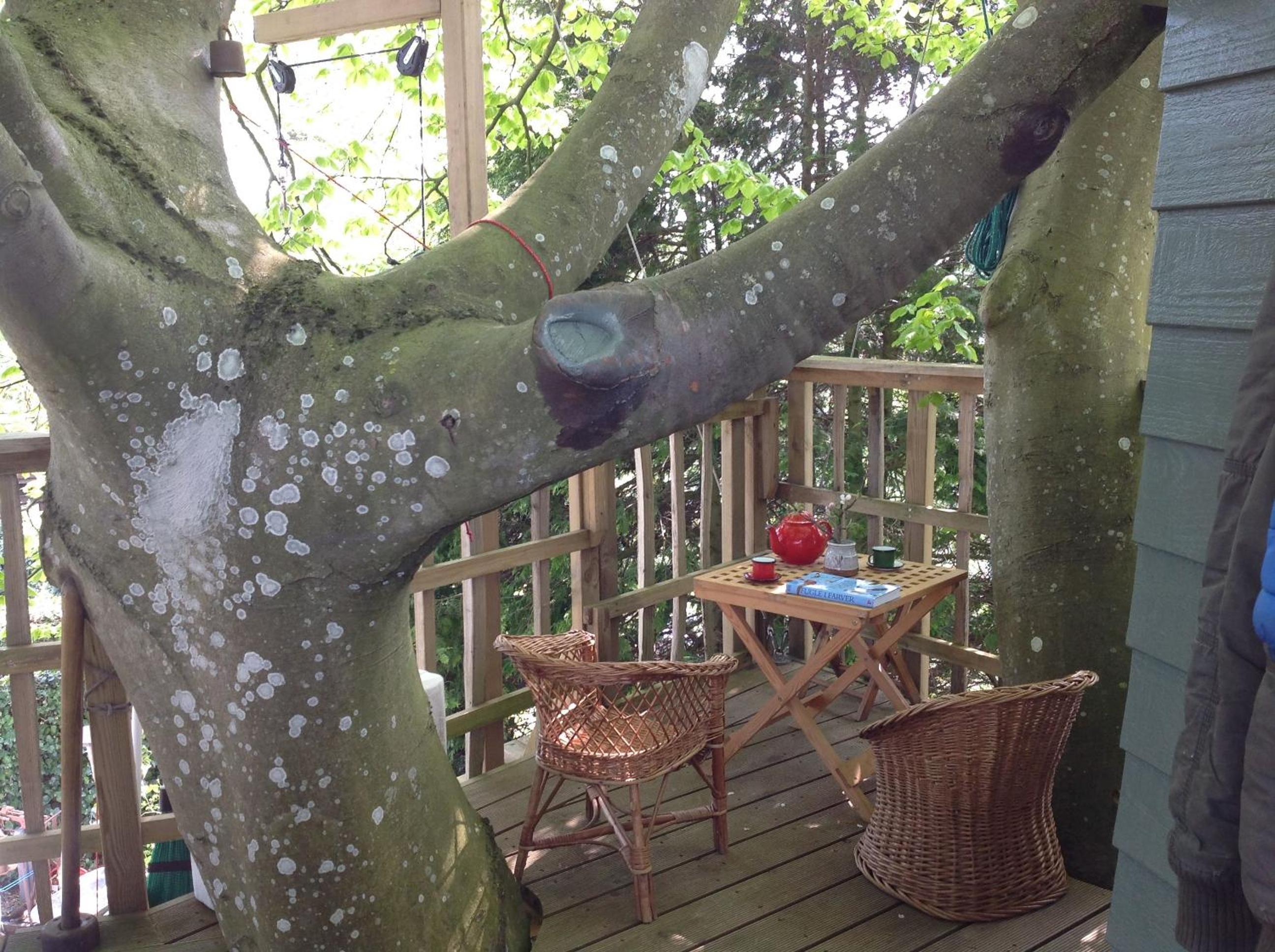 Treehouse escape