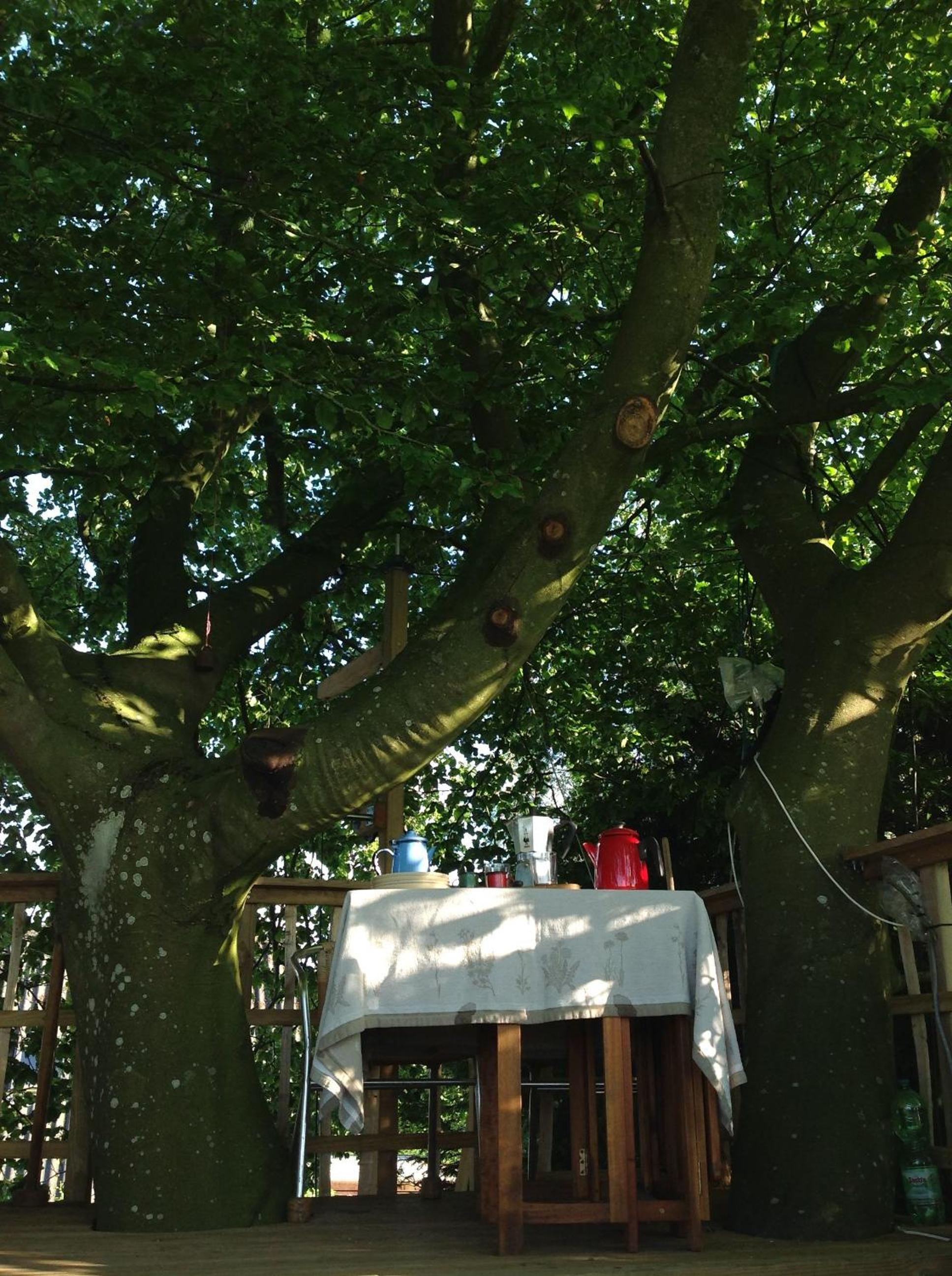 Treehouse escape