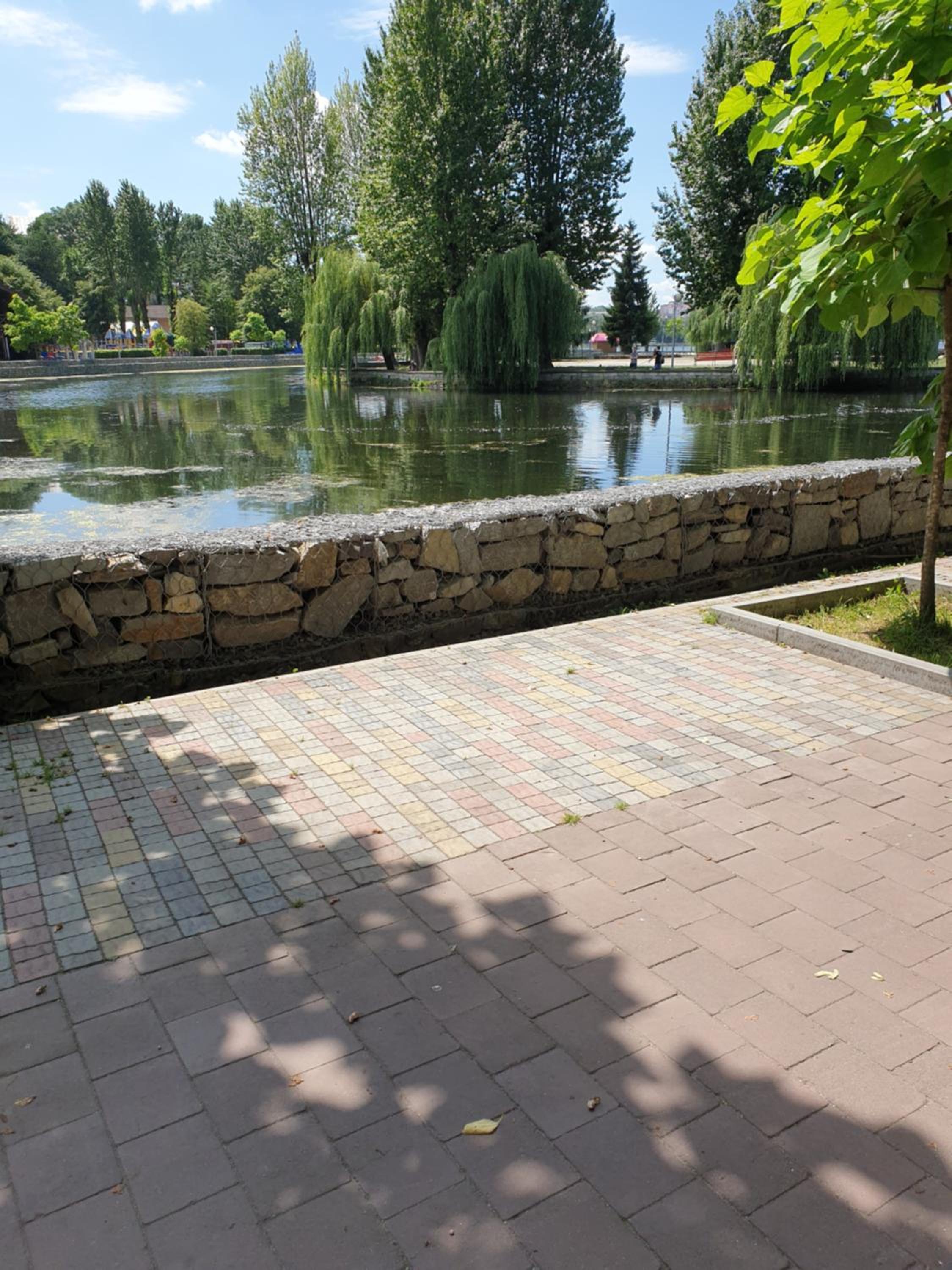 Photo 27