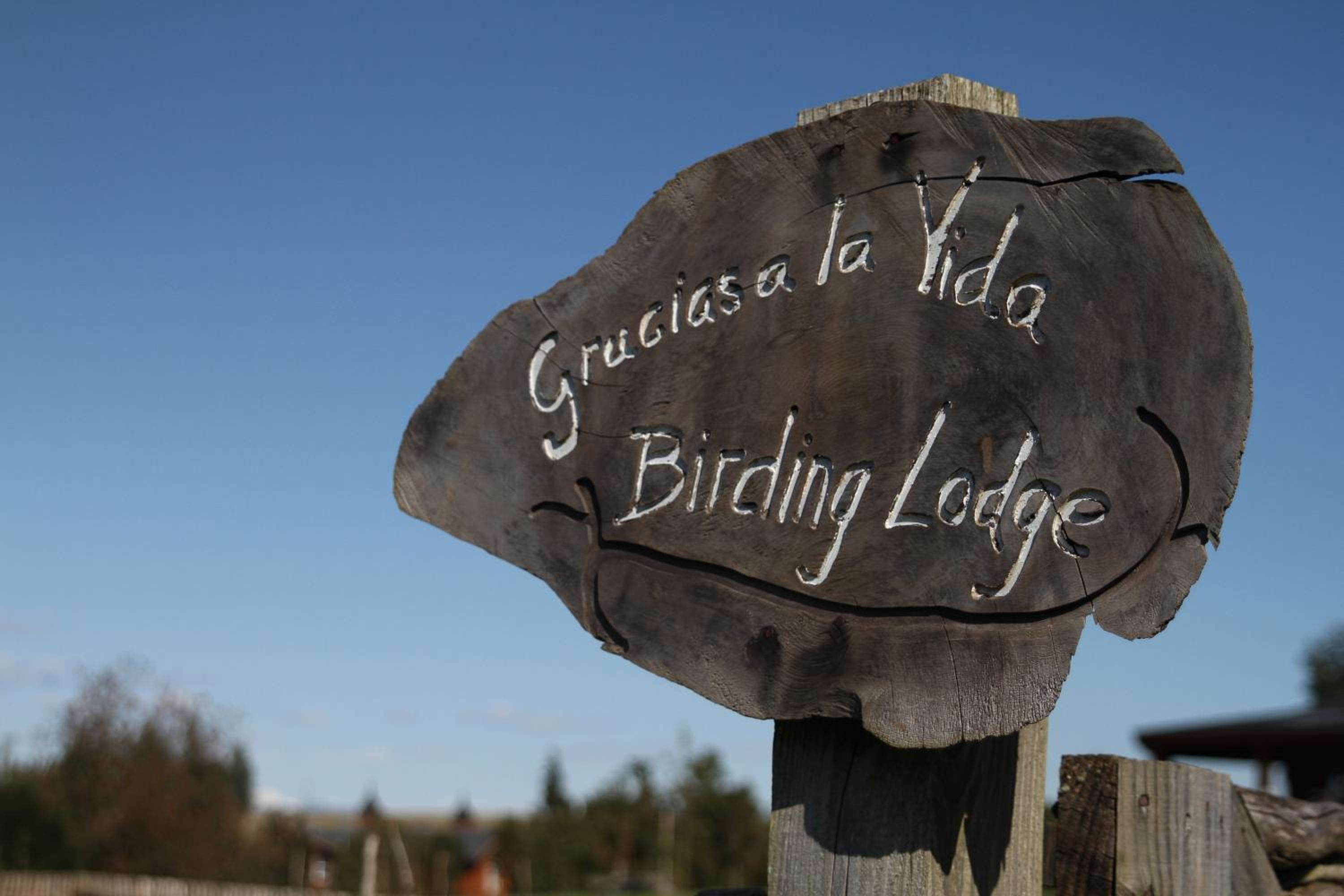 CABAÑAS Gracias a la Vida Lodge