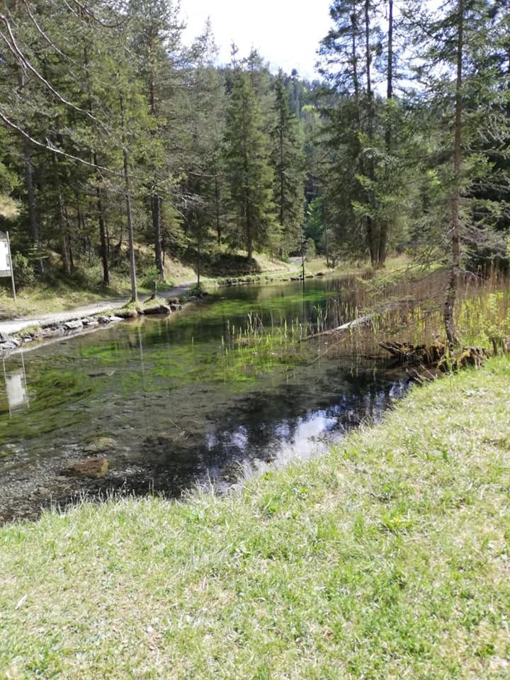 Pension Garni Hochmoos