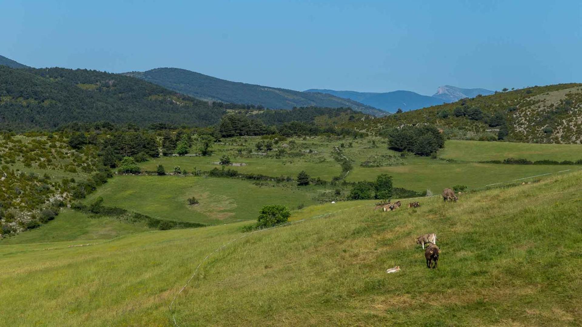Eco-Apartaments Cal Rossa de Taús