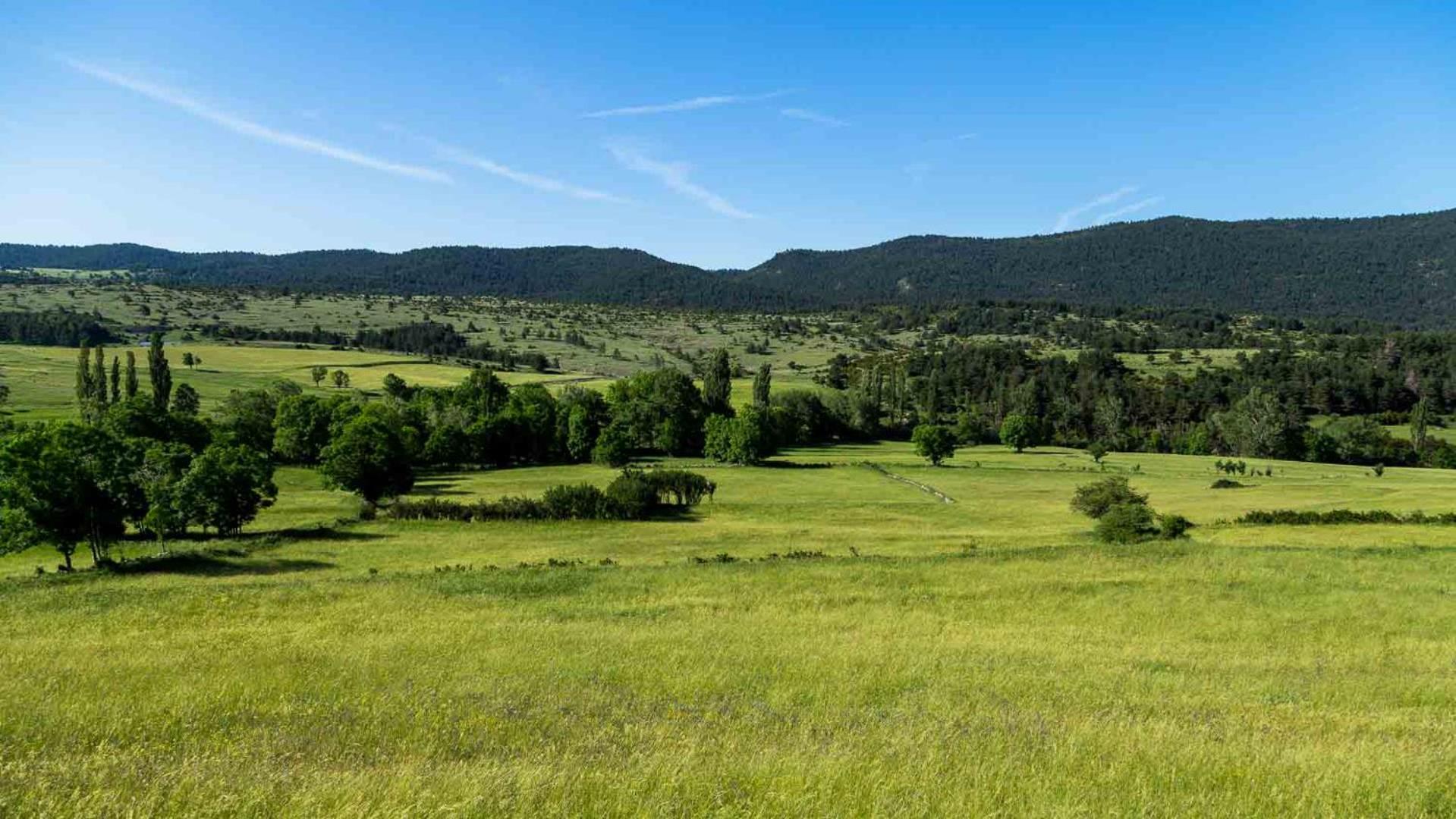 Eco-Apartaments Cal Rossa de Taús
