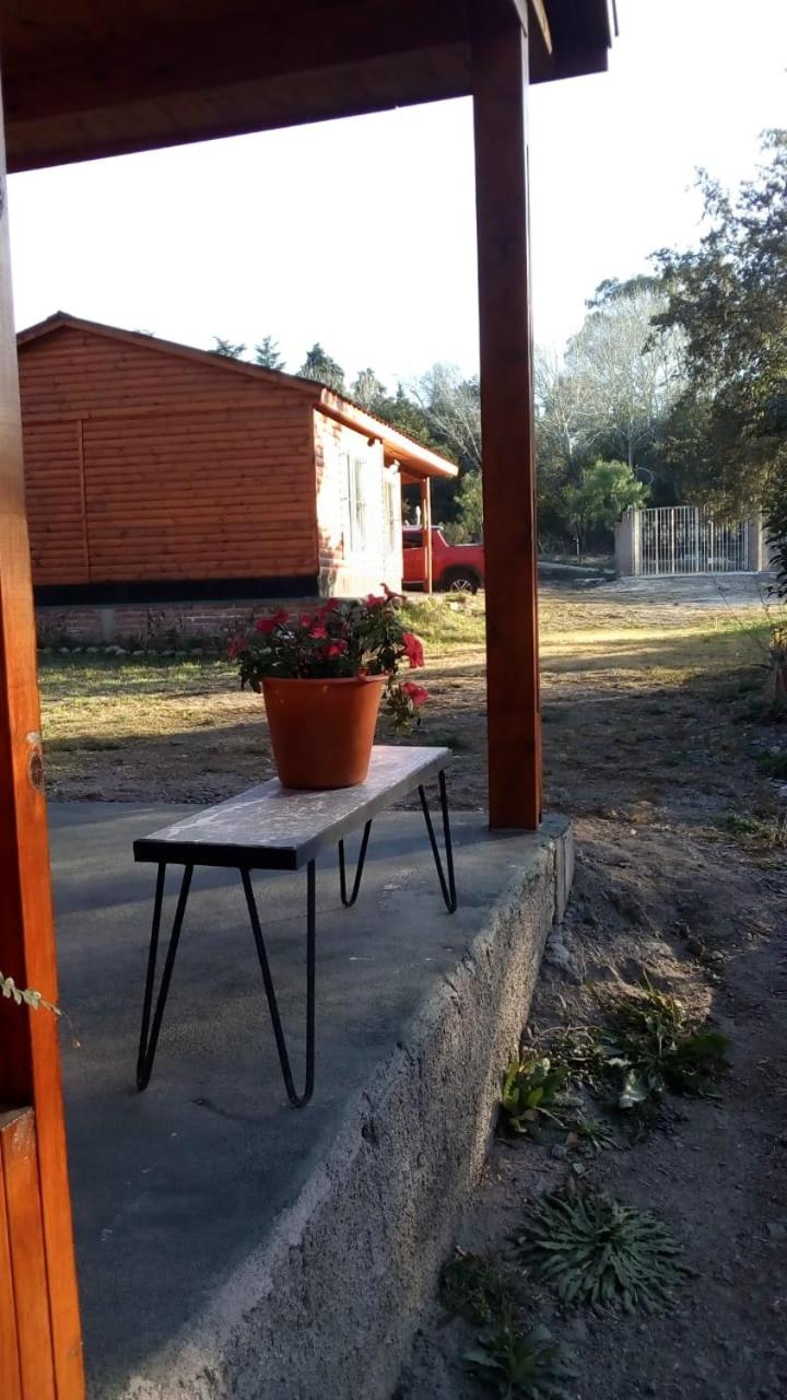 Cabañas los Plátanos