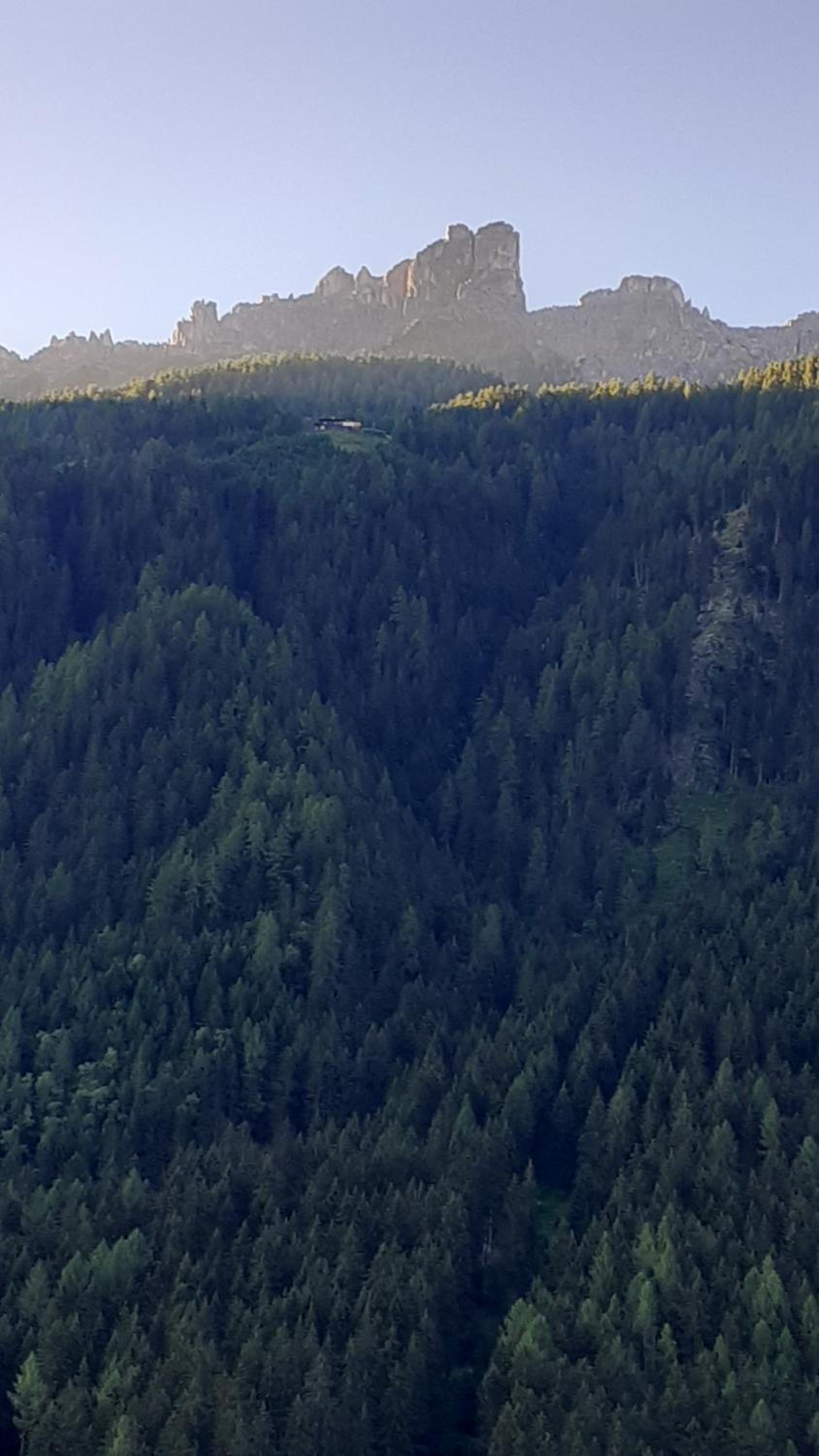 Sägehof