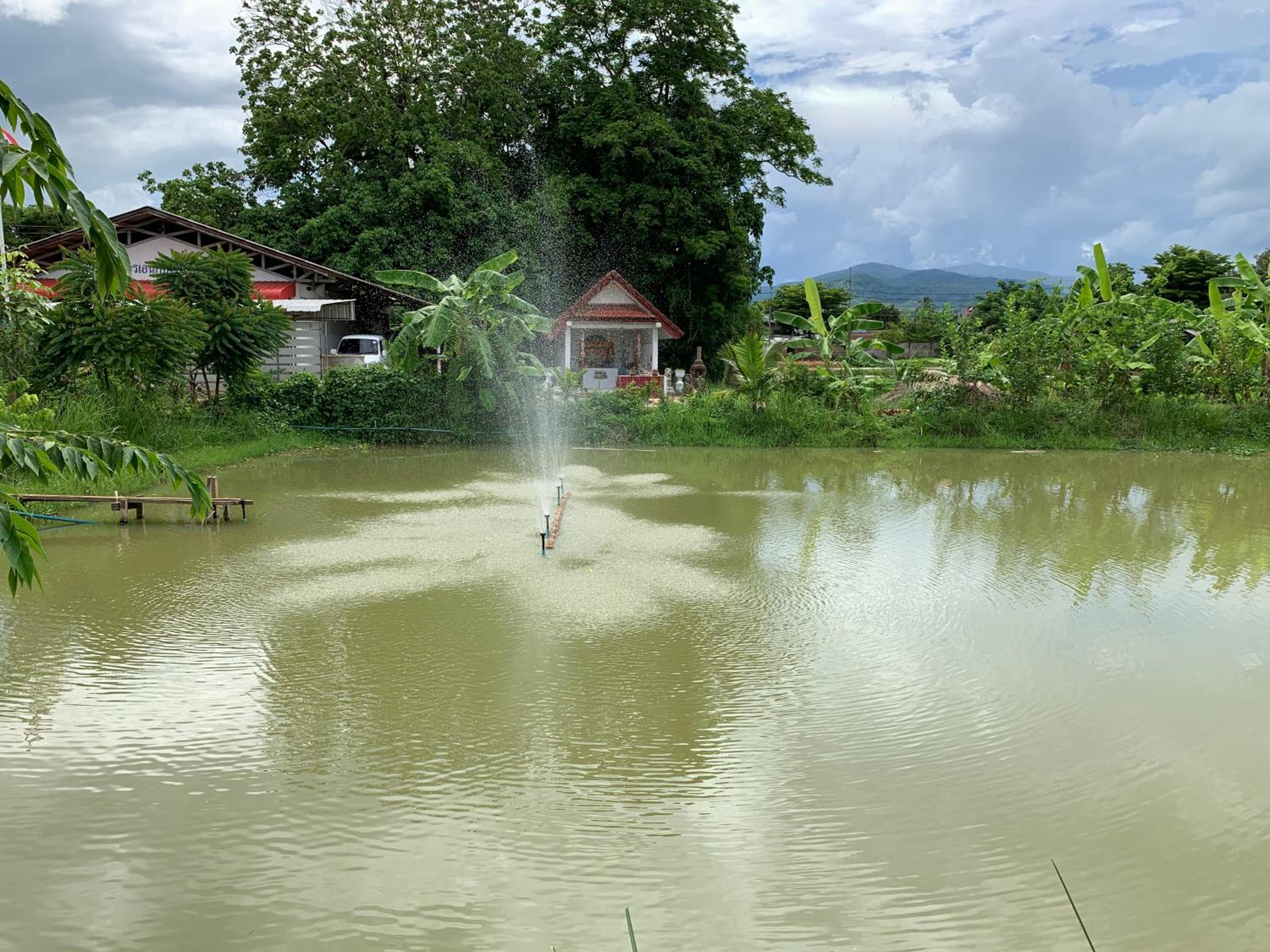 Open Kitchen Chiang Rai view 3