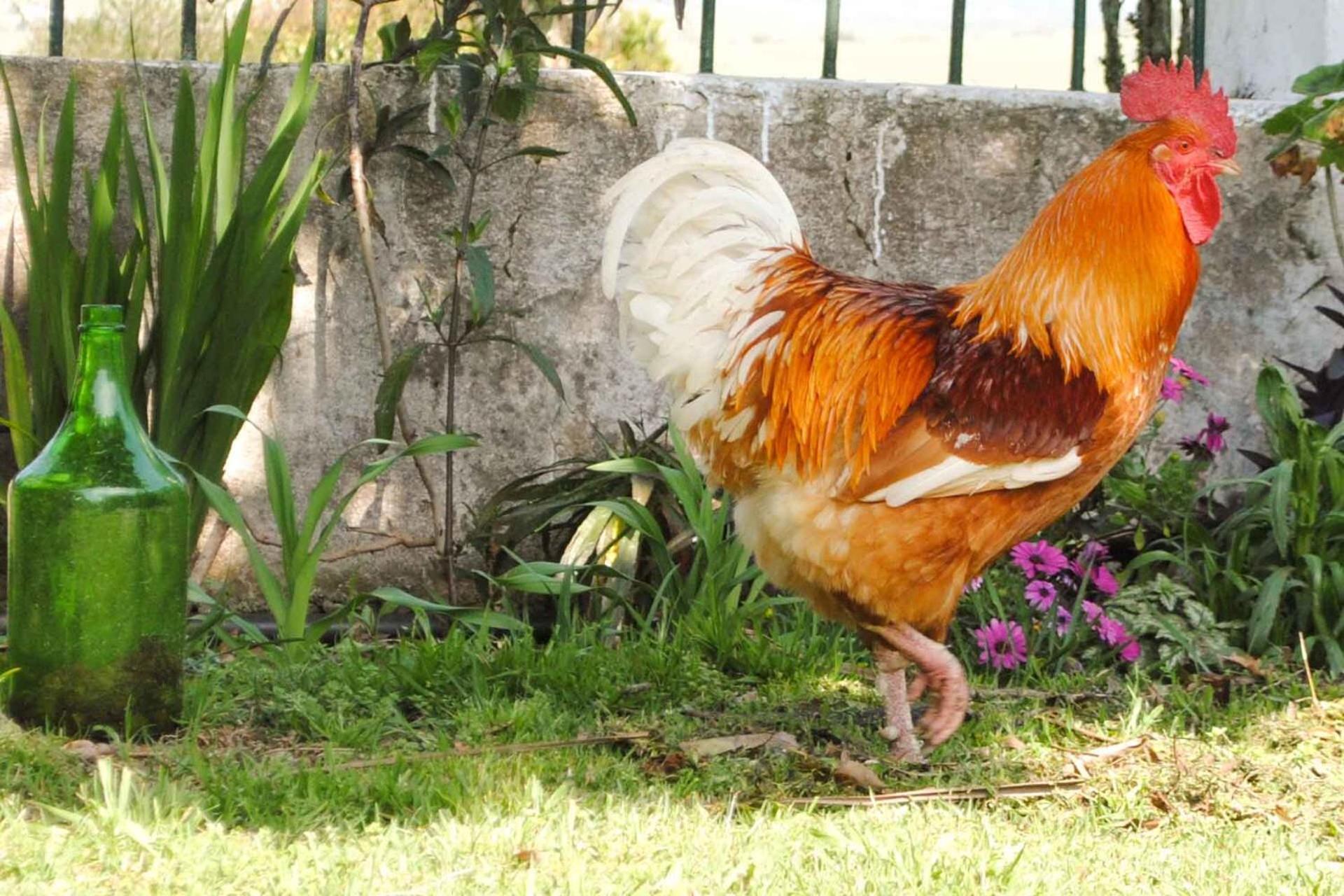 Estancia Aguila Blanca