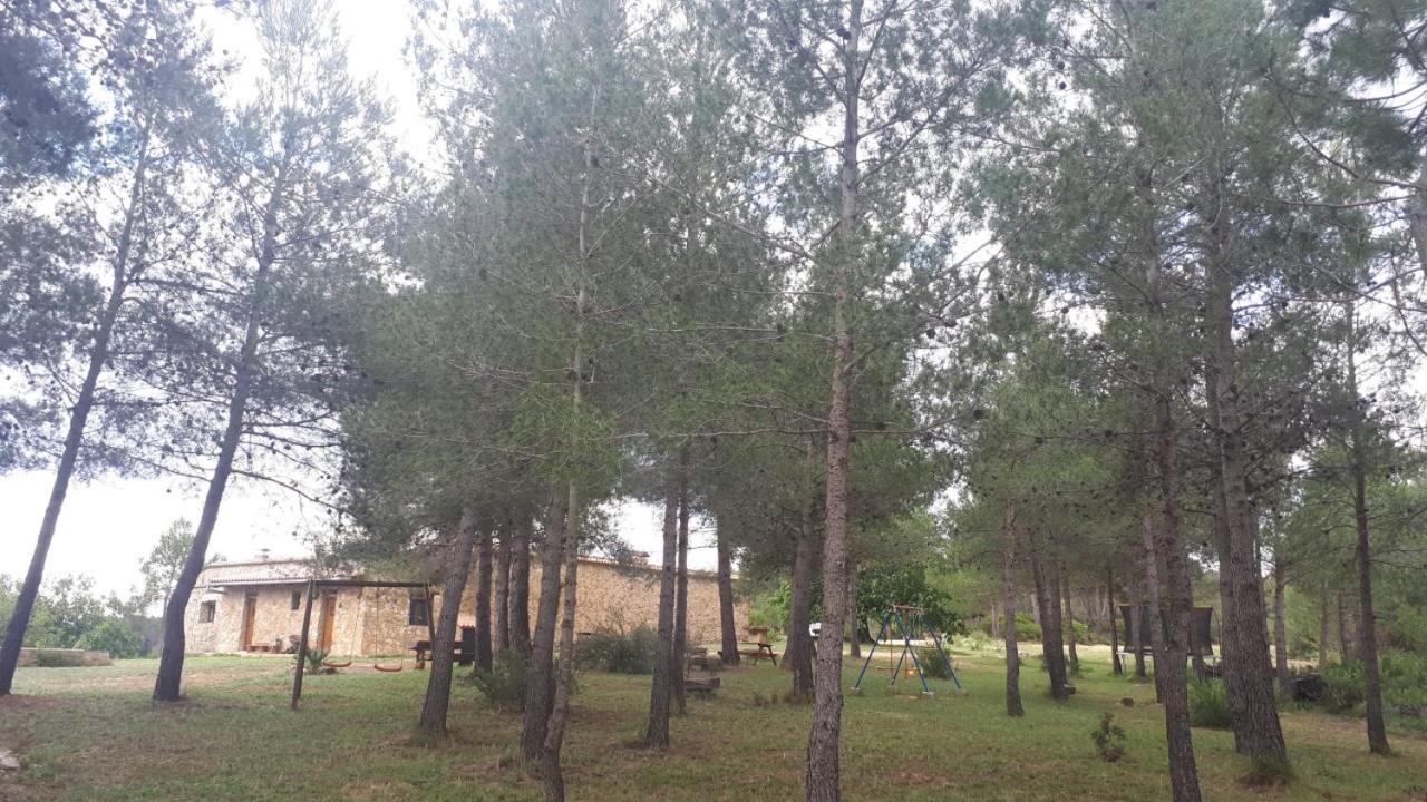 Photo 8