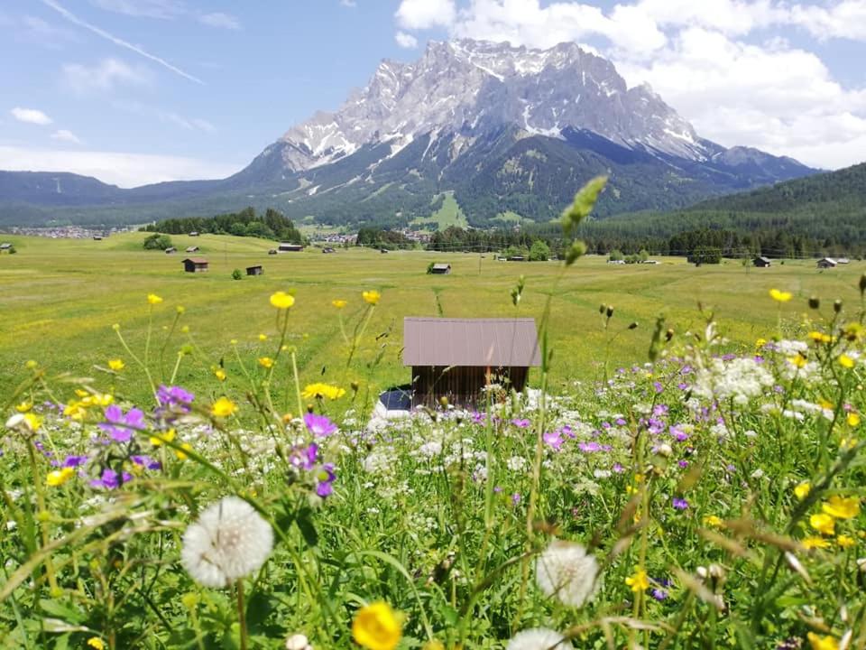 Pension Garni Hochmoos
