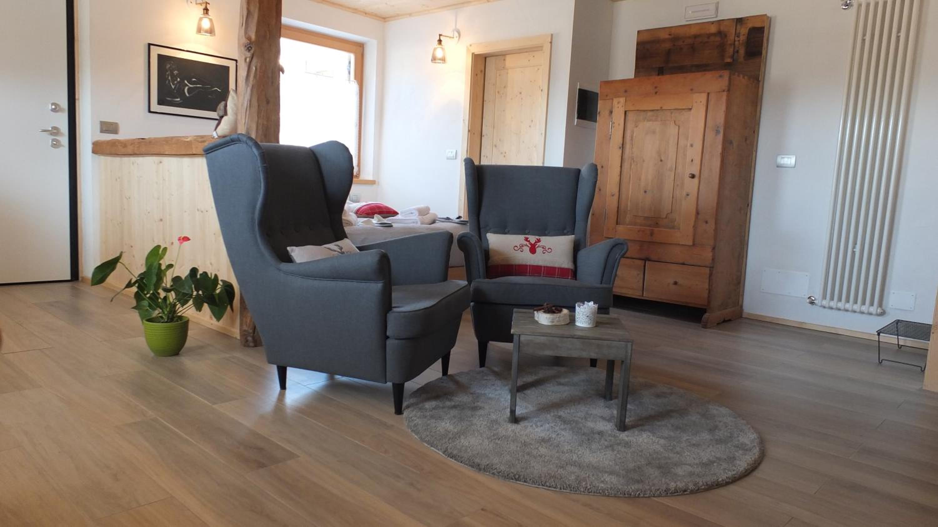 Mini Maule view 5