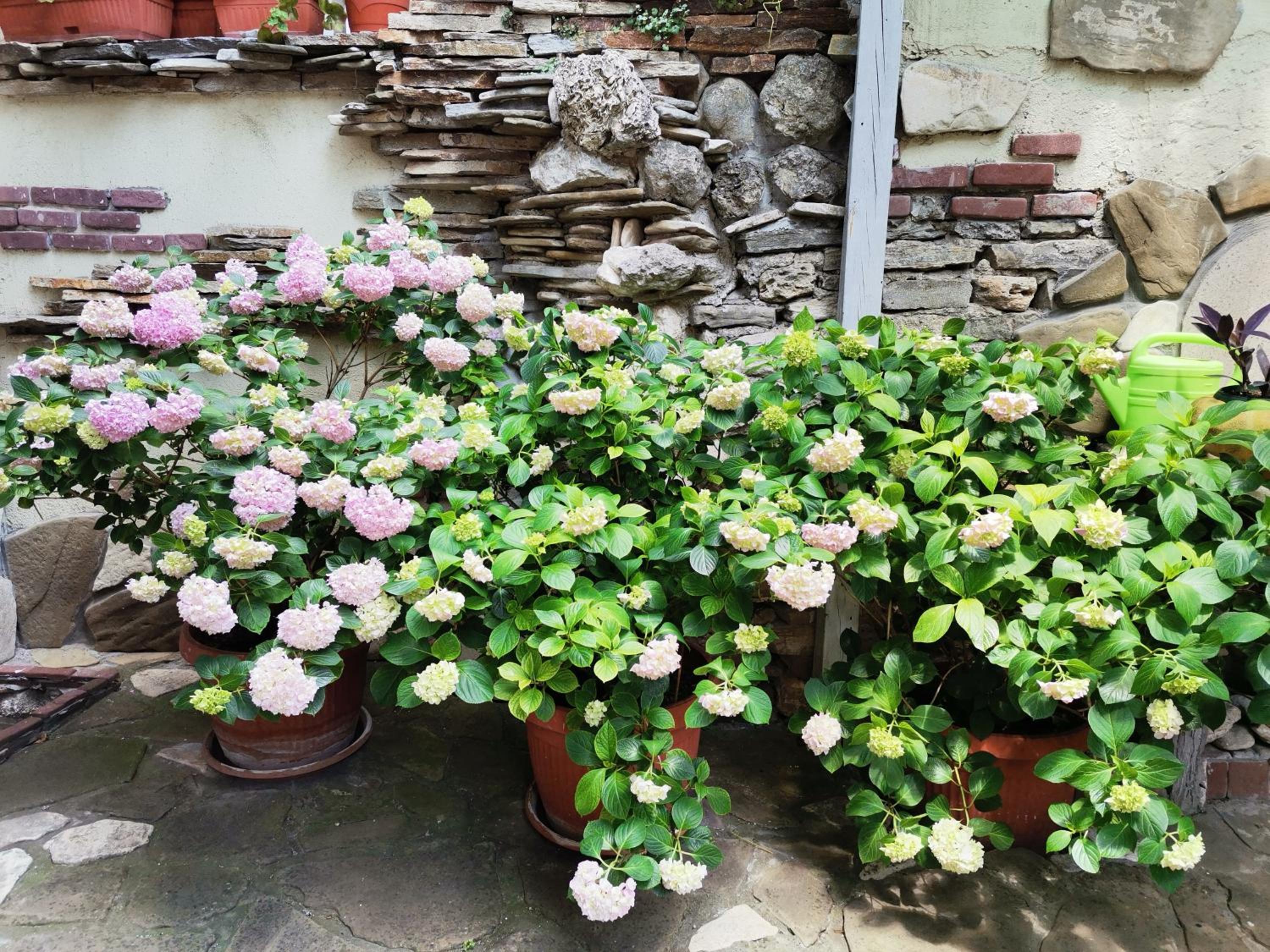 Guest Rooms Melsambria