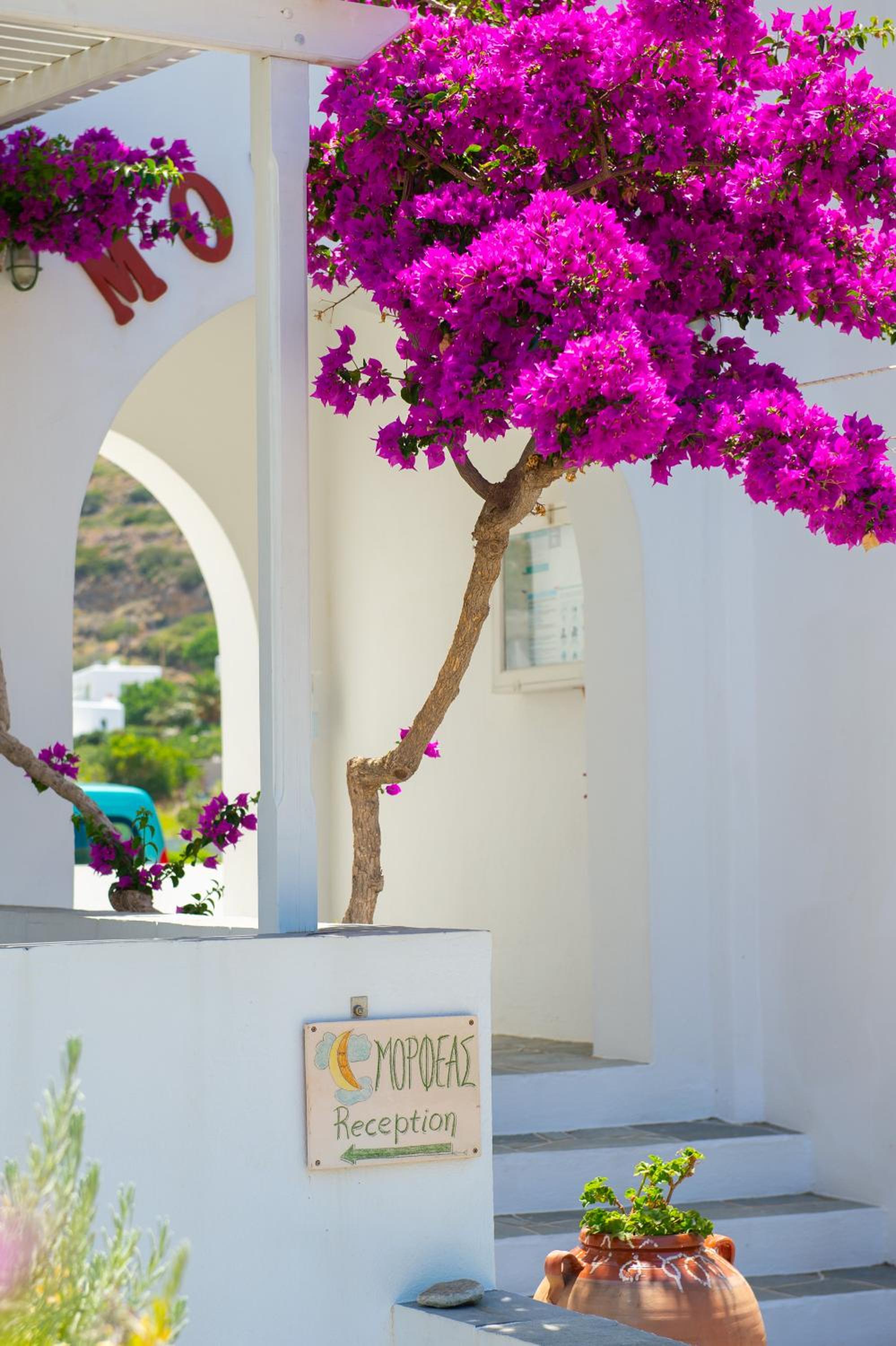 Morpheas Accommodation Sifnos