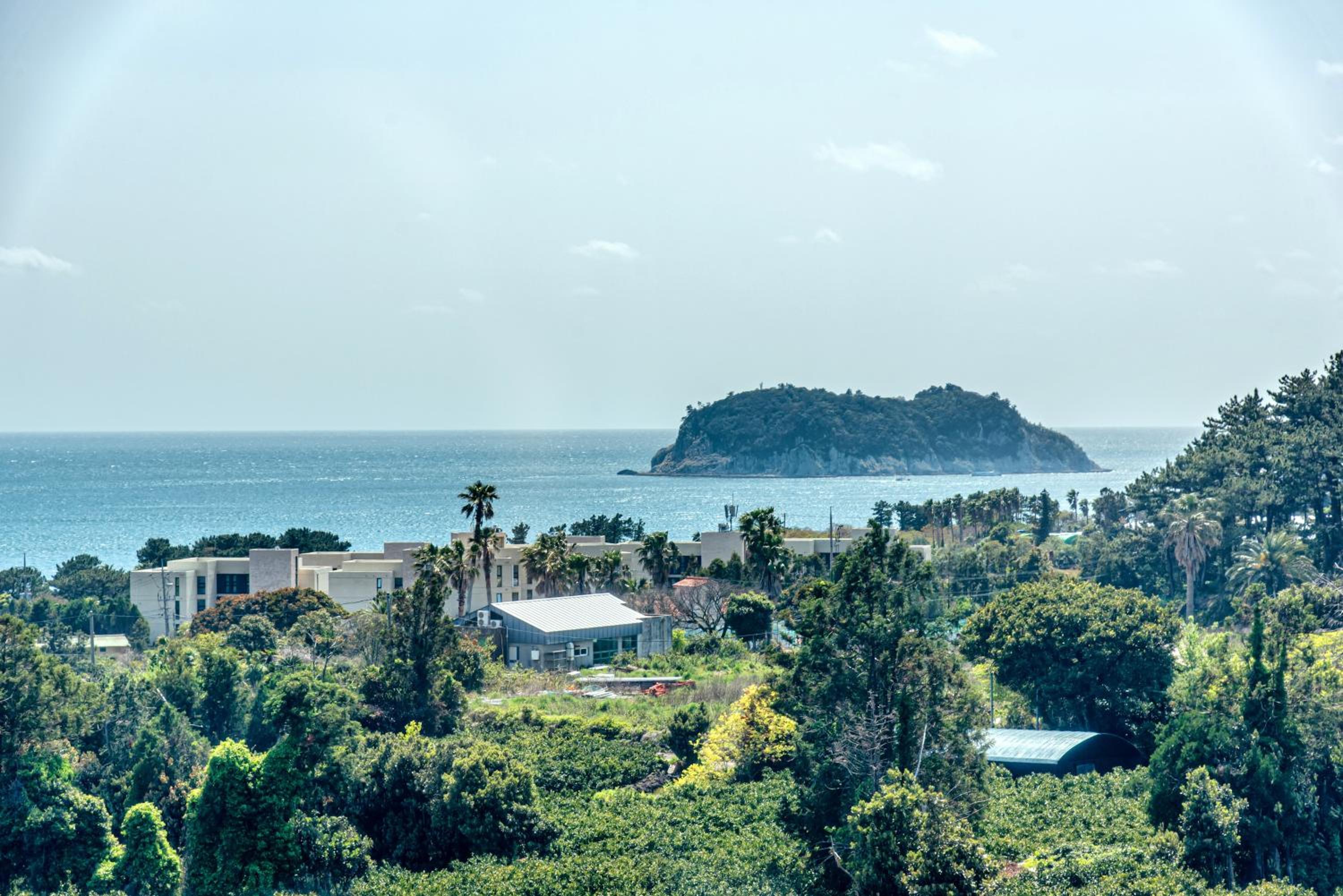 Jeju Bom stay & Art Gallery