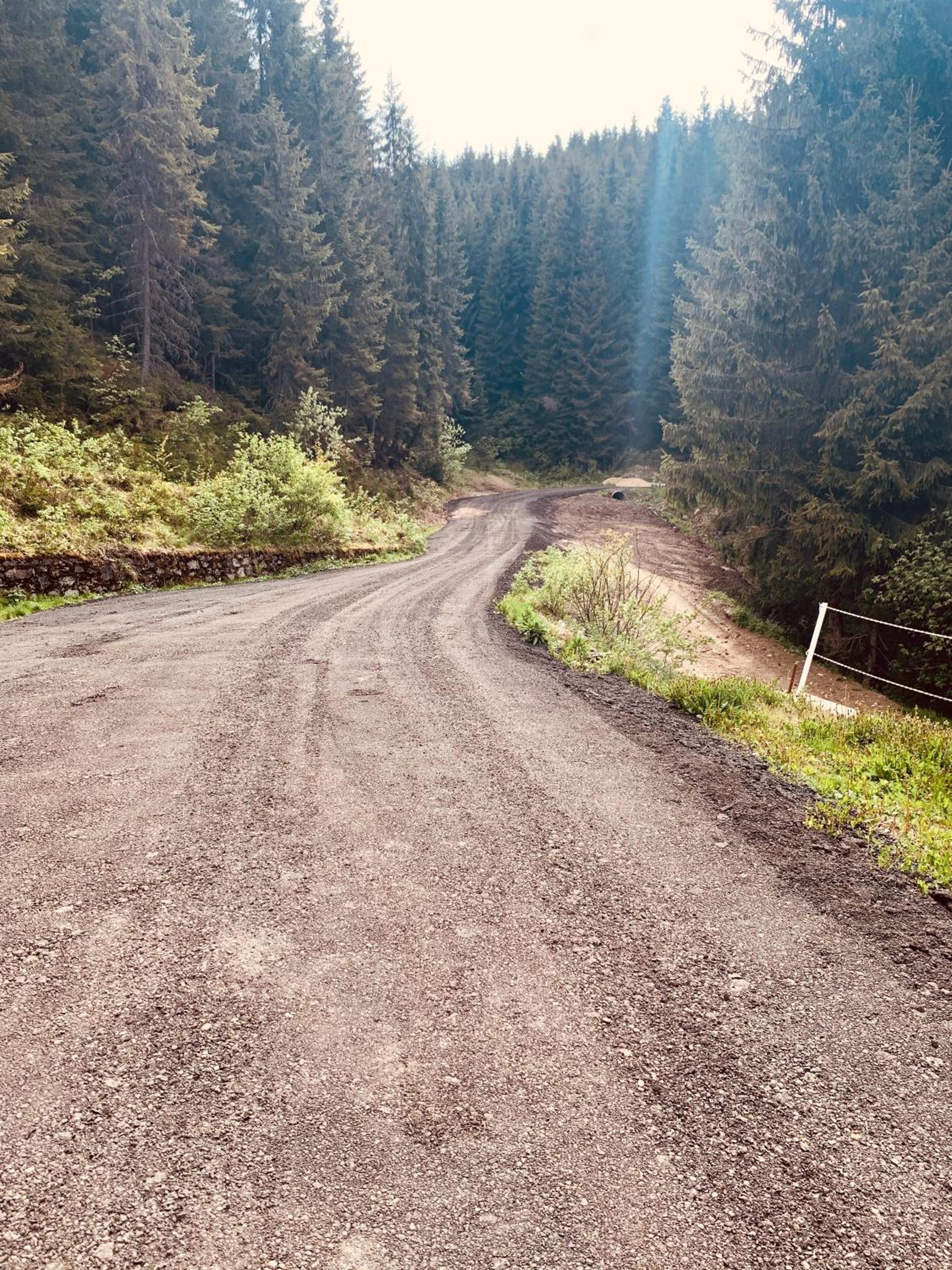 Cabana Cerbul-Oasa-Transalpina