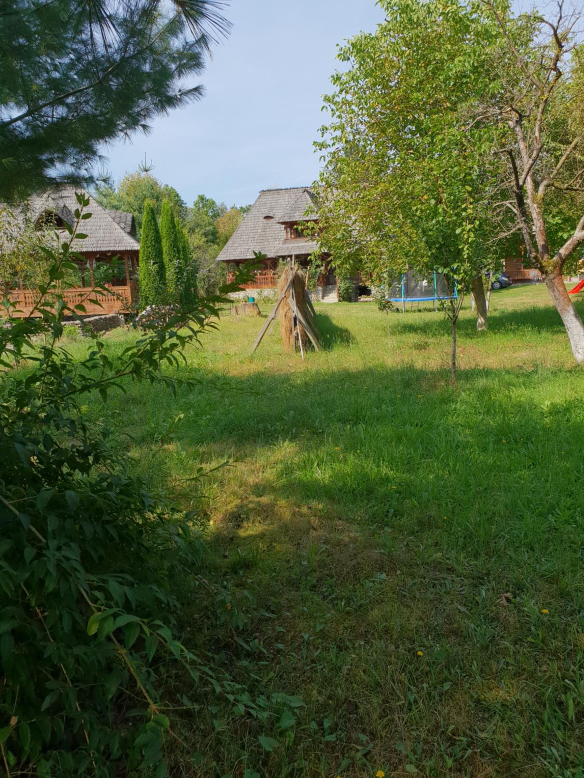 Photo 53