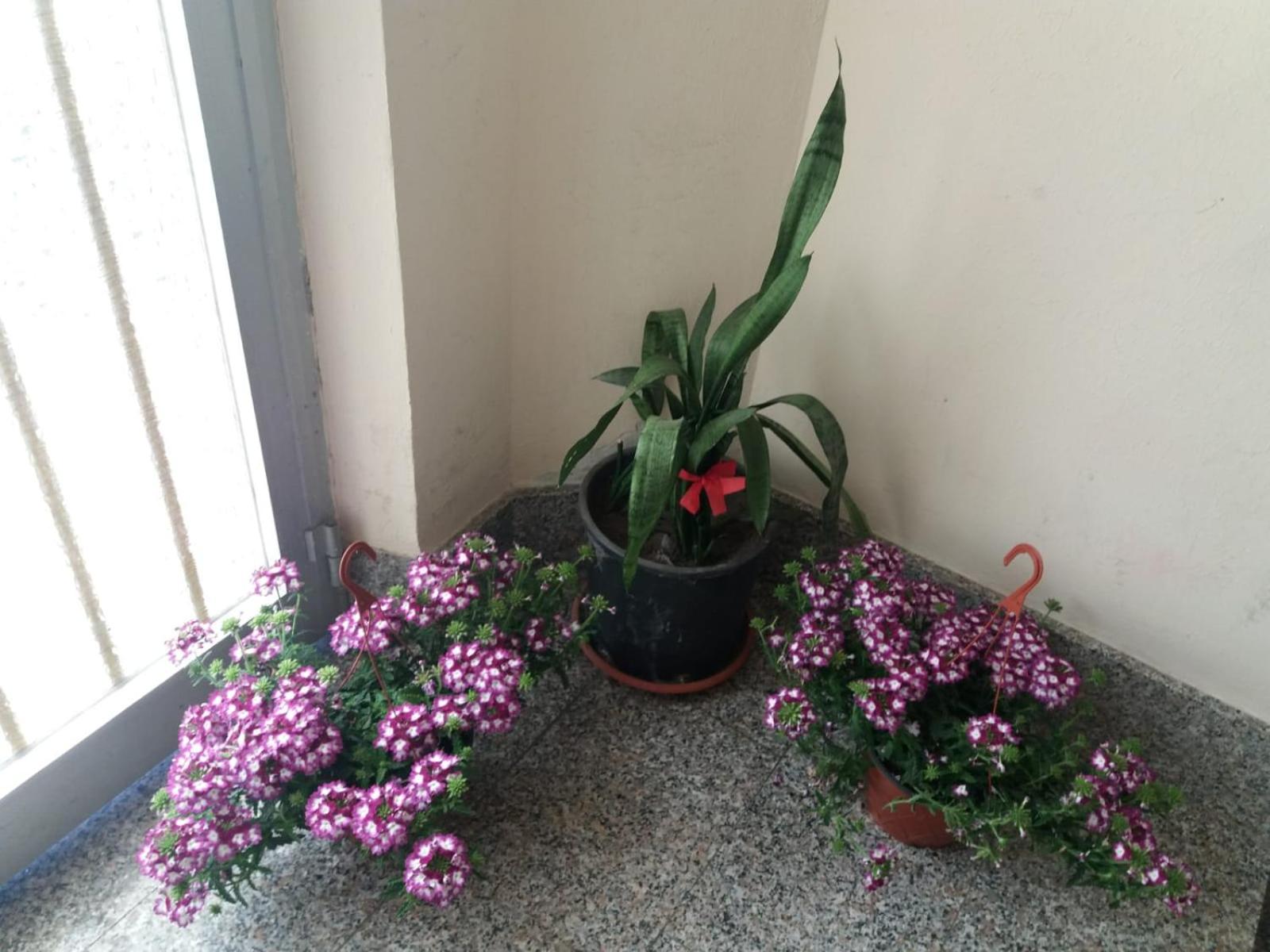 Appartamento vicino al mare view 4