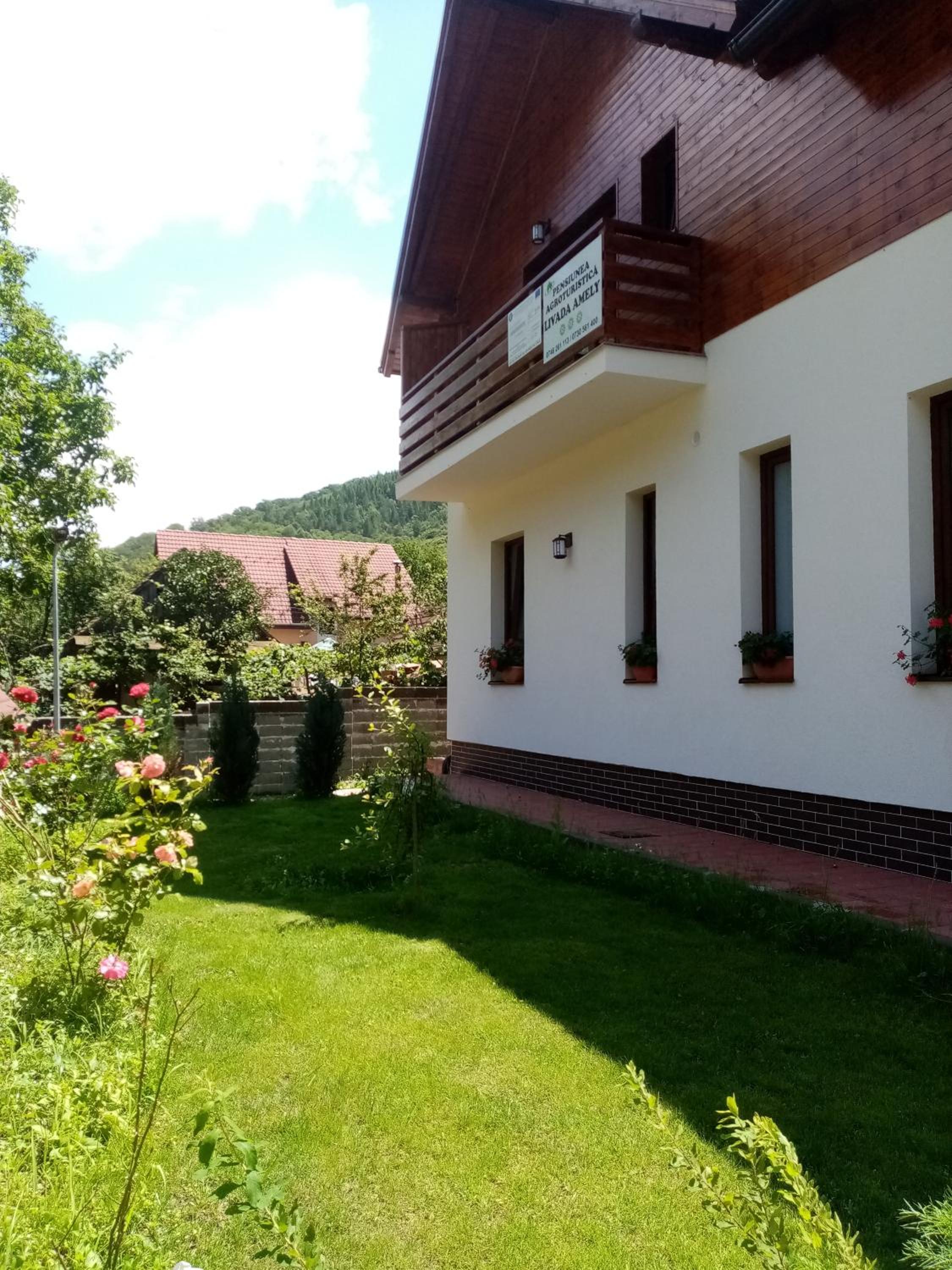 Photo 38
