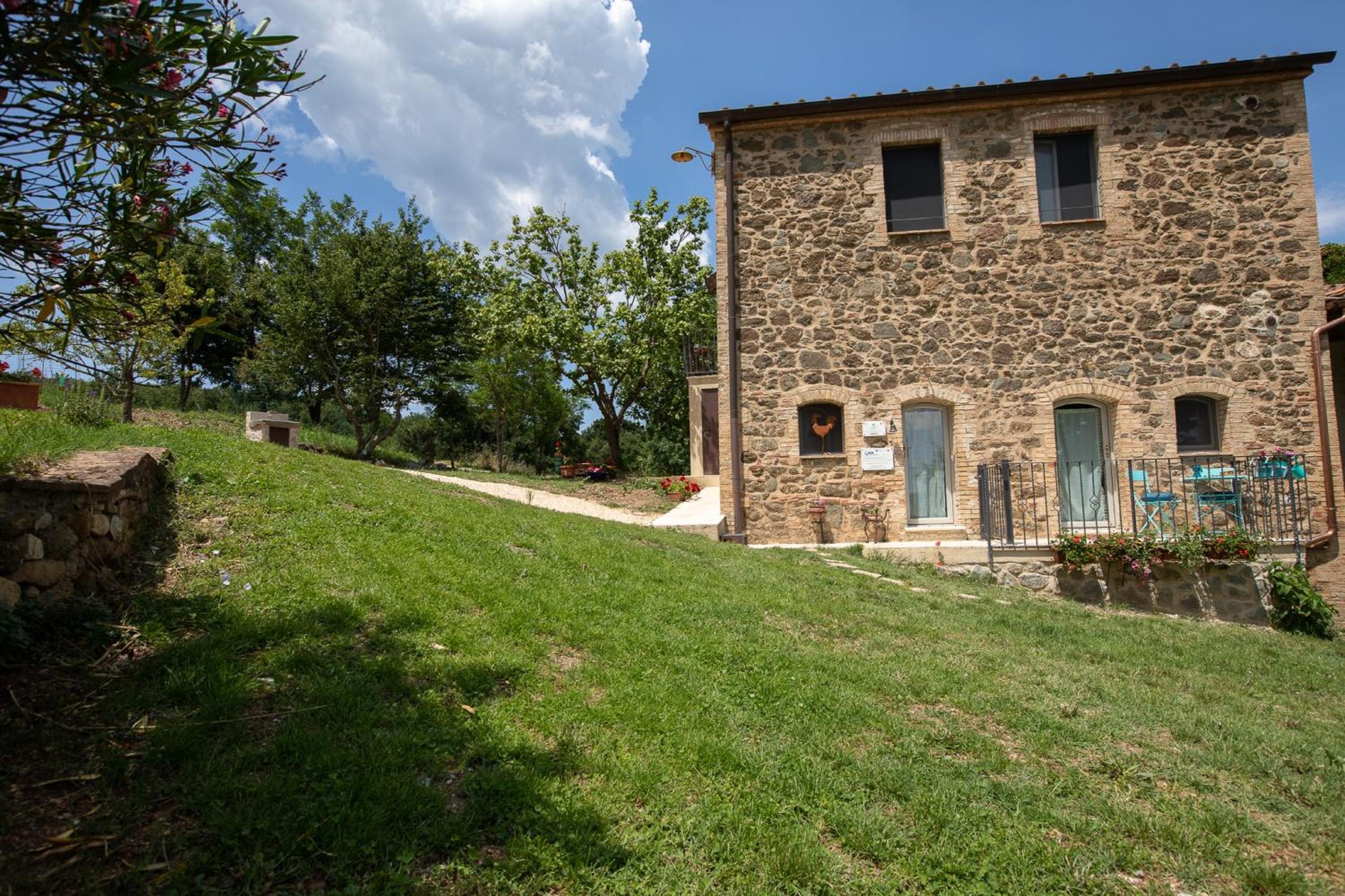 Photo 11