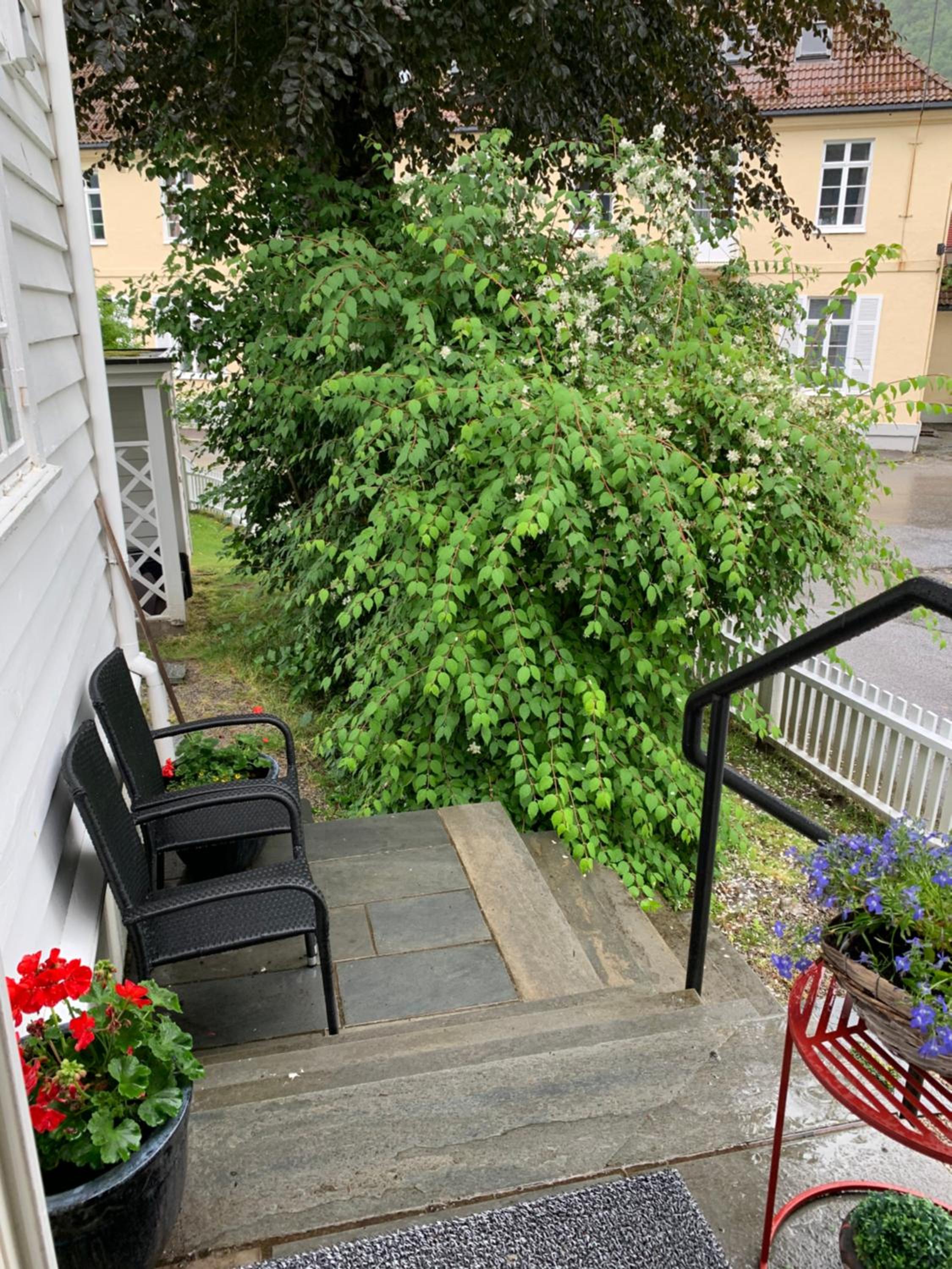 Photo 34