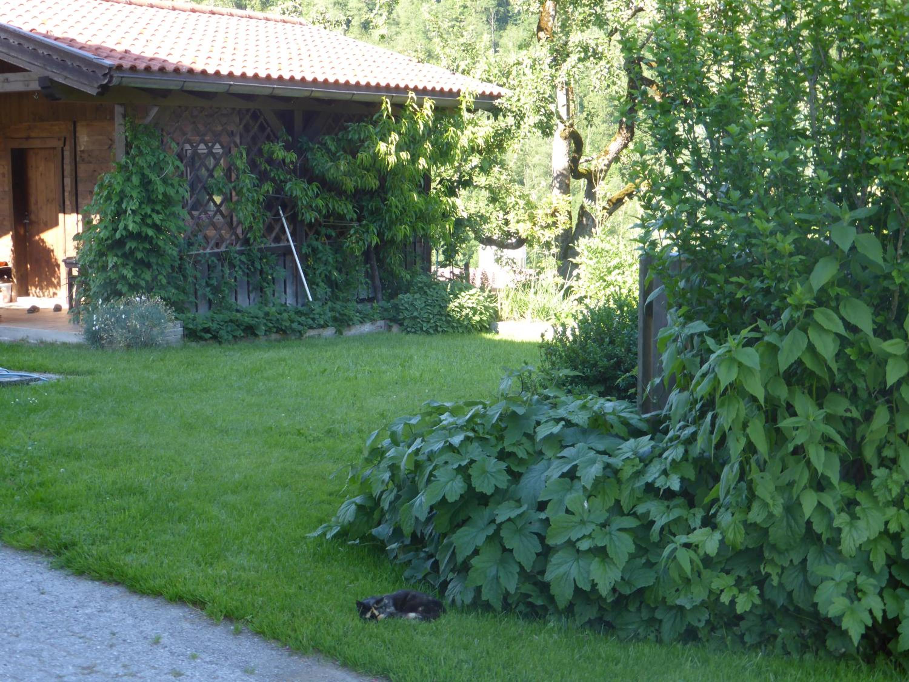 Schwaighof