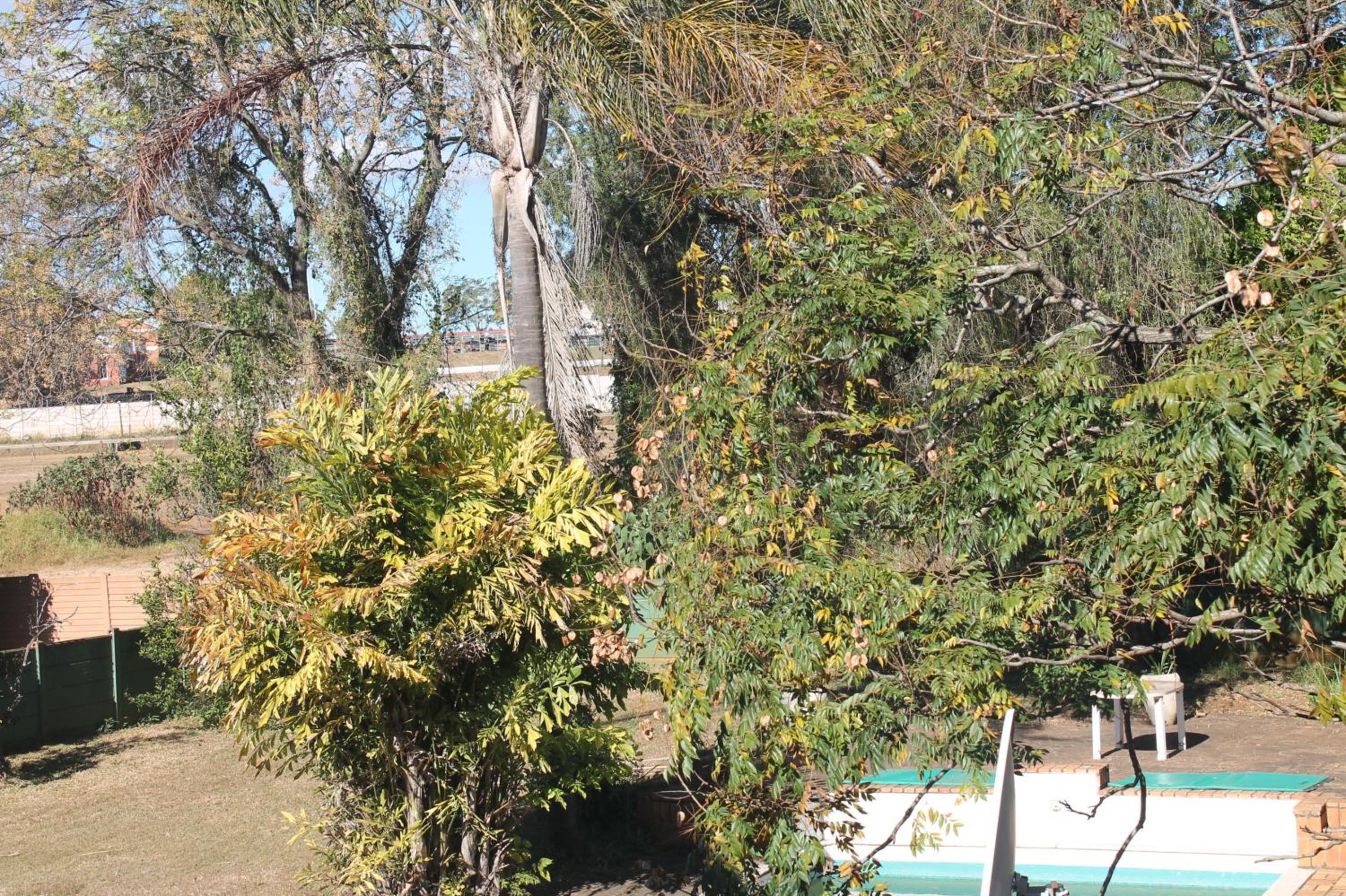 Photo 46