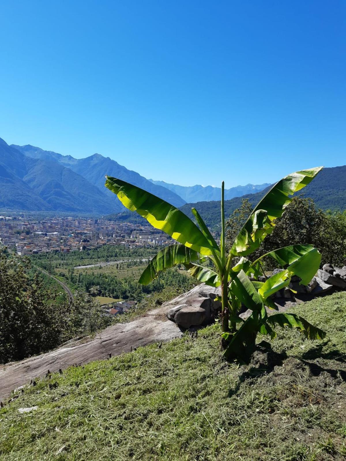 Ossola dal Monte - Affittacamere